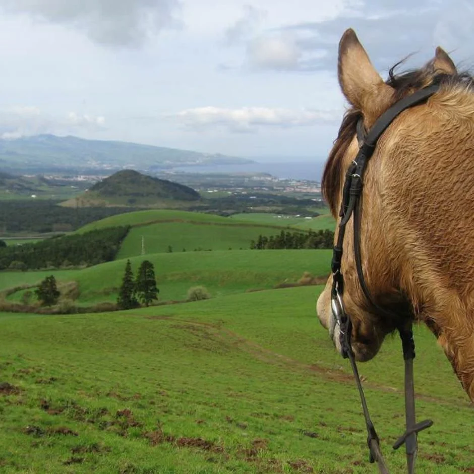AZORES: Beginners, This One’s Yours! €2,190