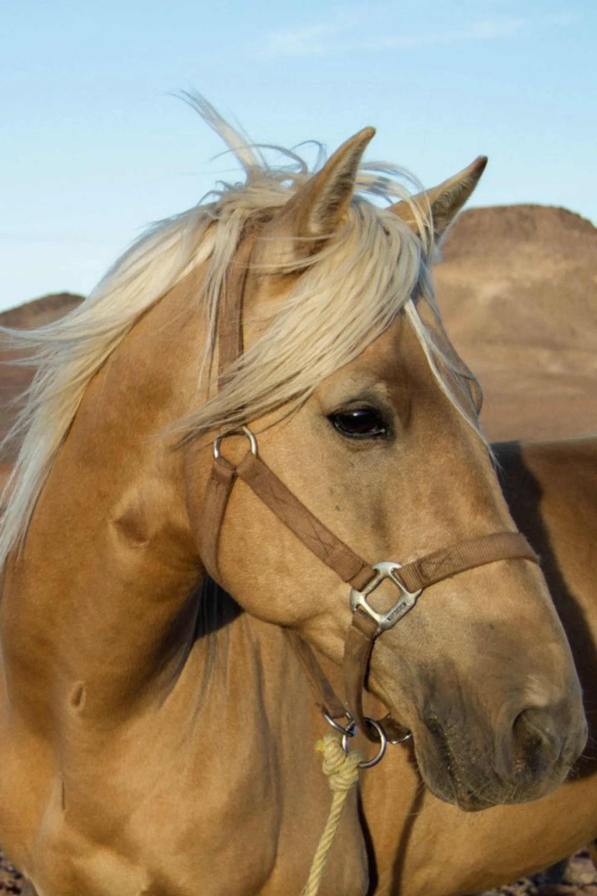 MOROCCO: The Safron Trail €1313&nbsp;