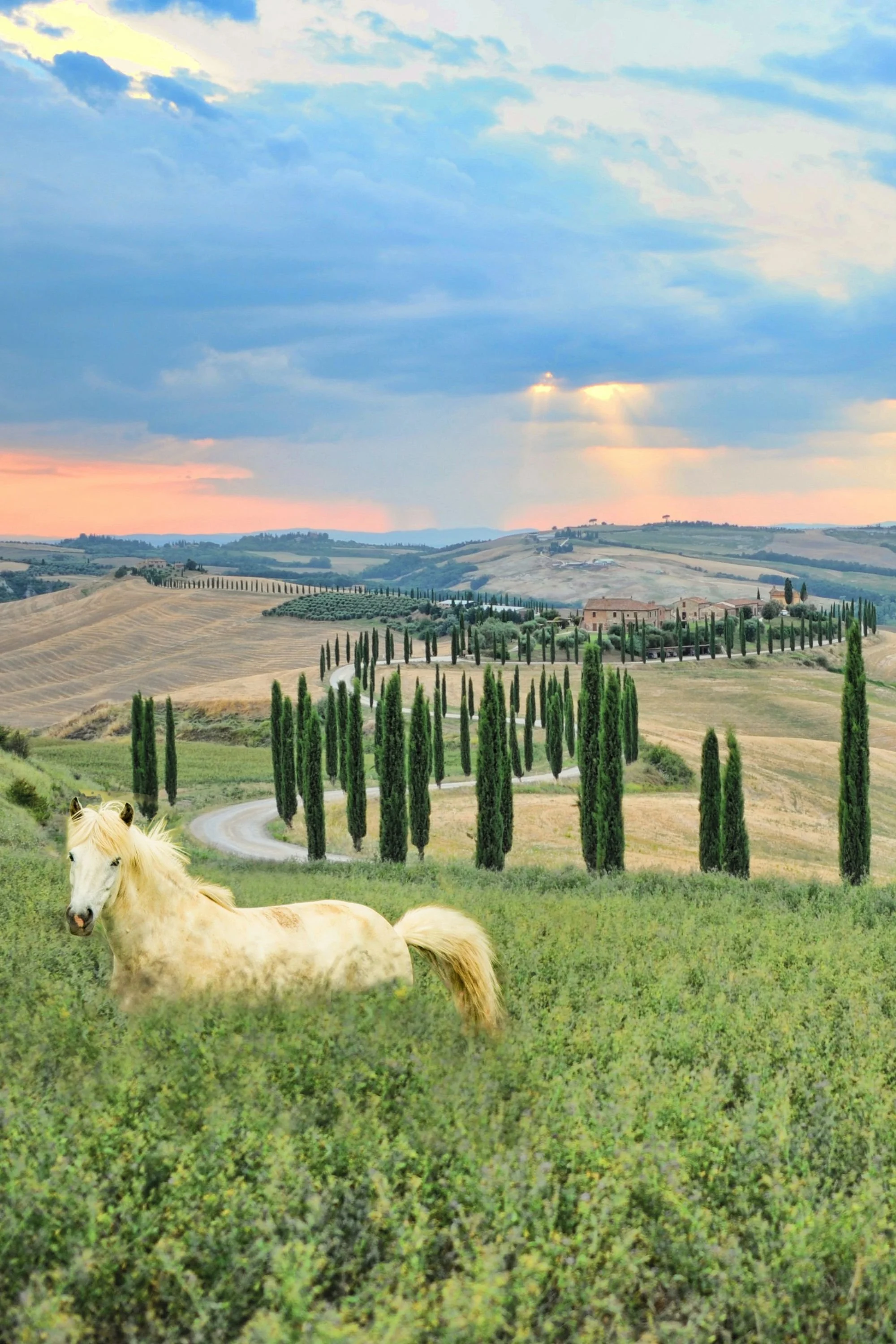 ITALY: Tuscany Trotting through la dolce vita €1,400
