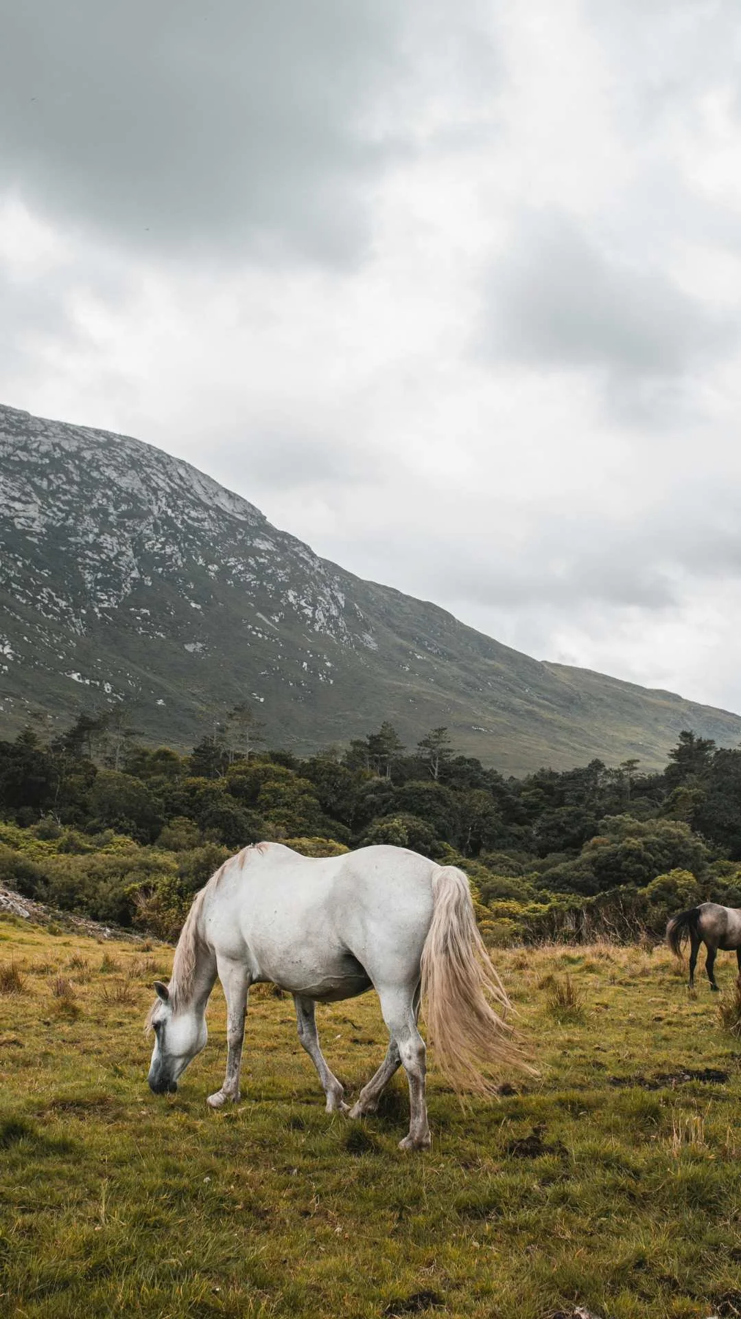 IRELAND: Clew Bay Trail Ride €1,995