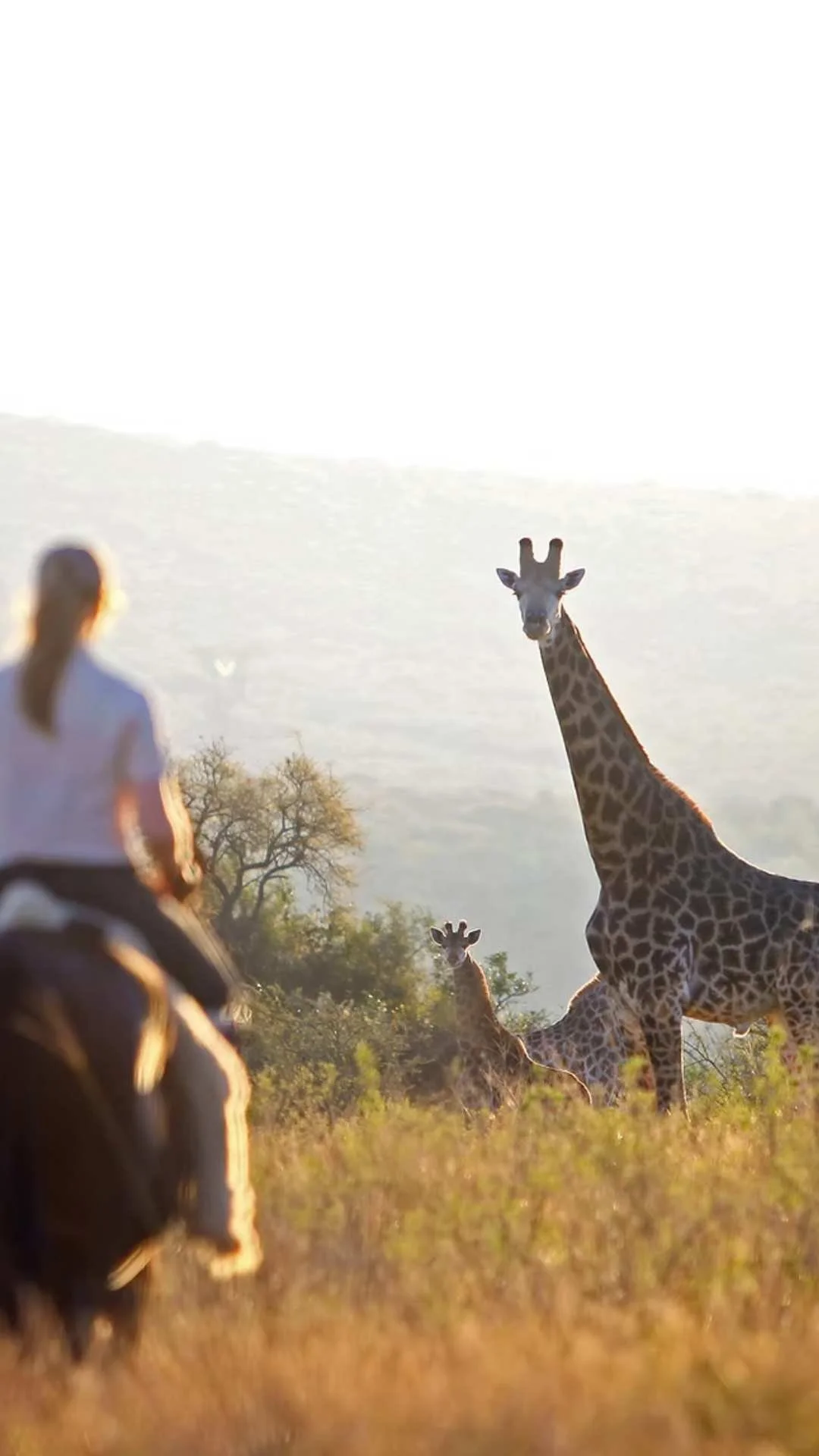 UMGENI, SOUTH AFRICA: The 7-Day Journey Ride  £1,100