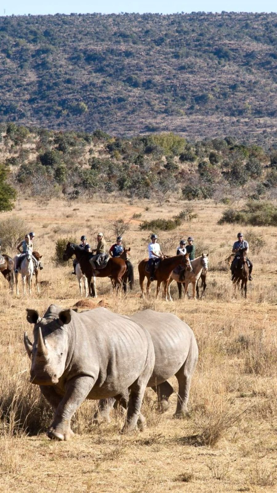 SOUTH AFRICA: Big Five Safari €3,095 