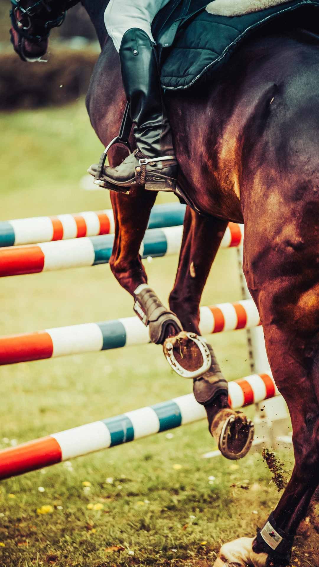 ITALY: Show Jumping Training €1,650