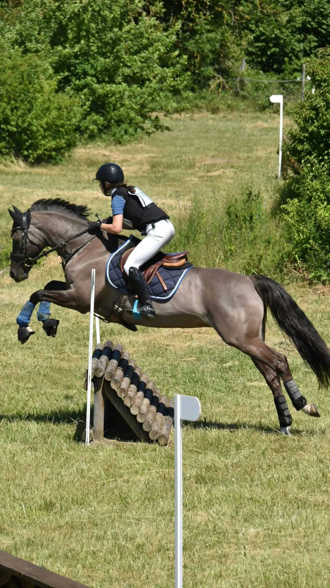  IRELAND: Cross-Country Riding