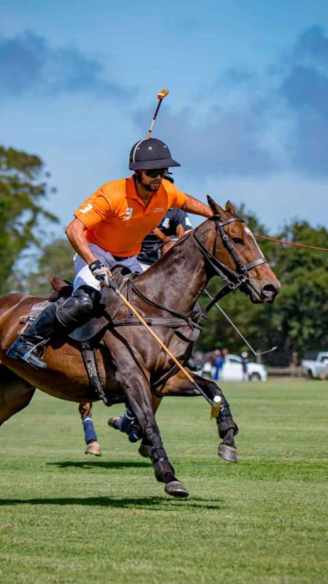 SOUTH AFRICA: Polo Safari 