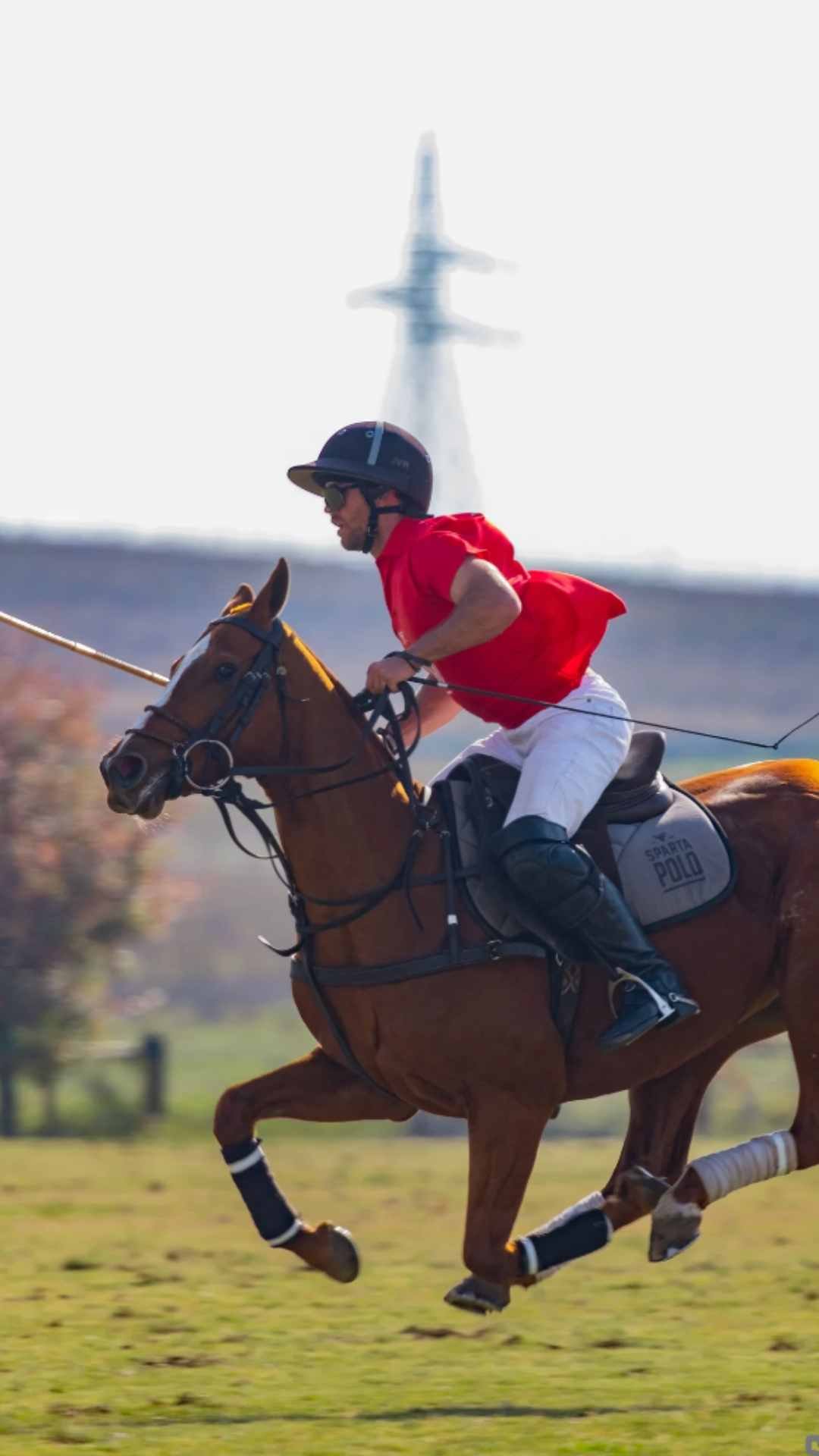 (2026-05-07)Jumps, Gallops, and Chukkas. Take Your Pick