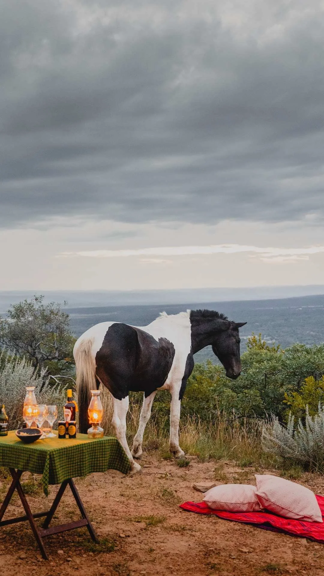SOUTH AFRICA: Ant Africa  from £375 