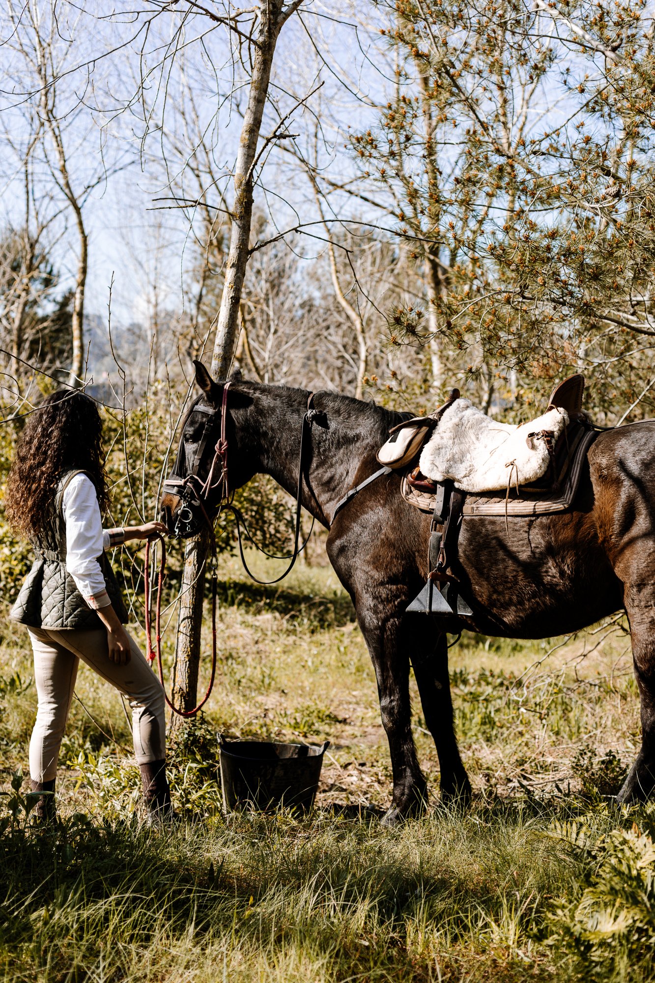 Cabollos De Castilla MR-143.jpg