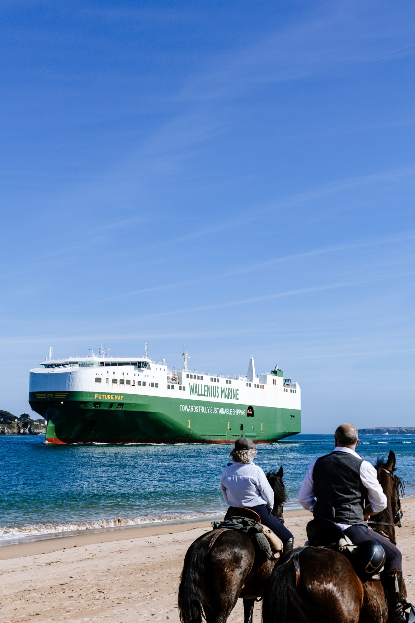 Cabollos De Castilla MR-184.jpg