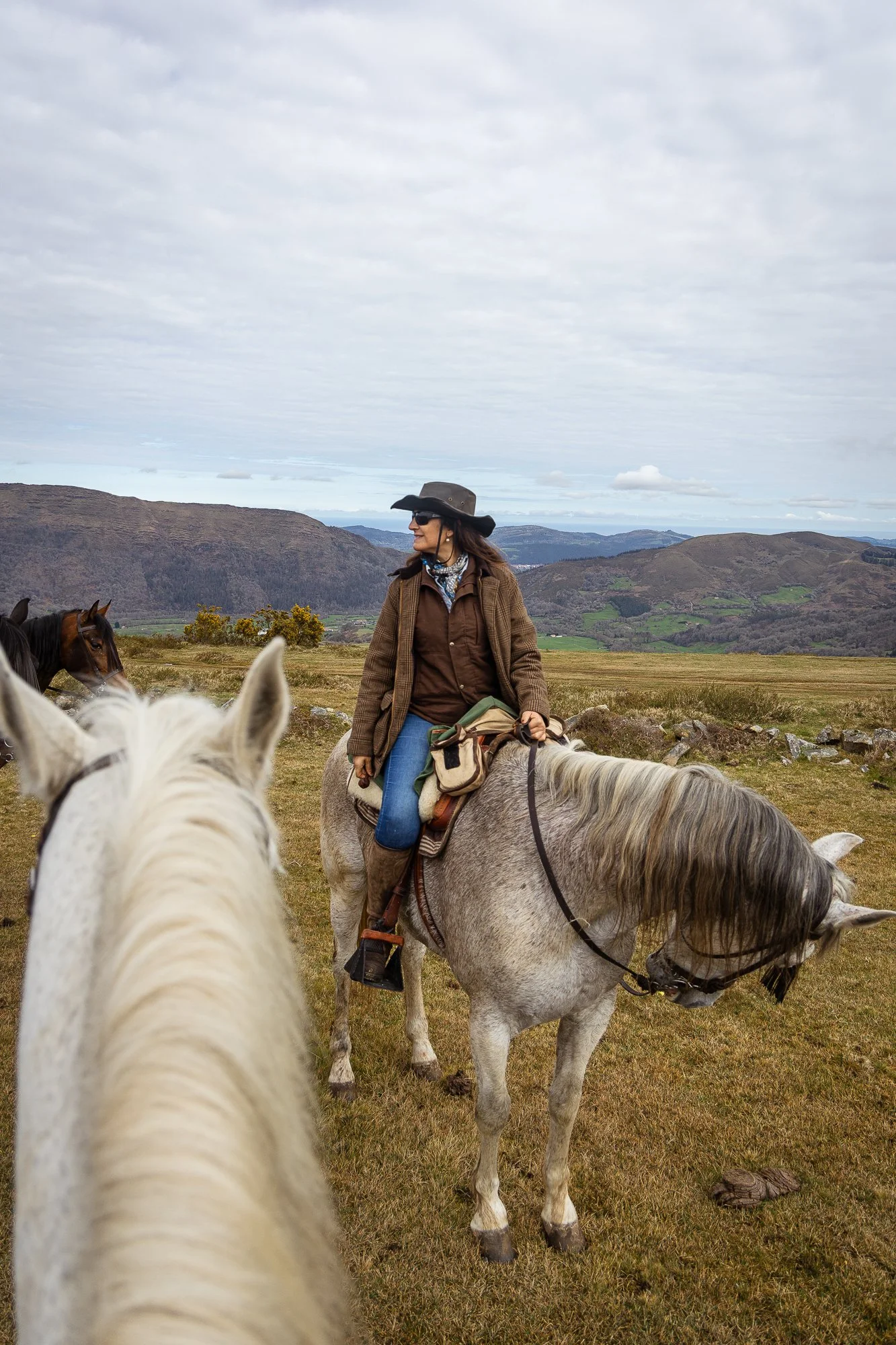 Cabollos De Castilla MR-032.jpg