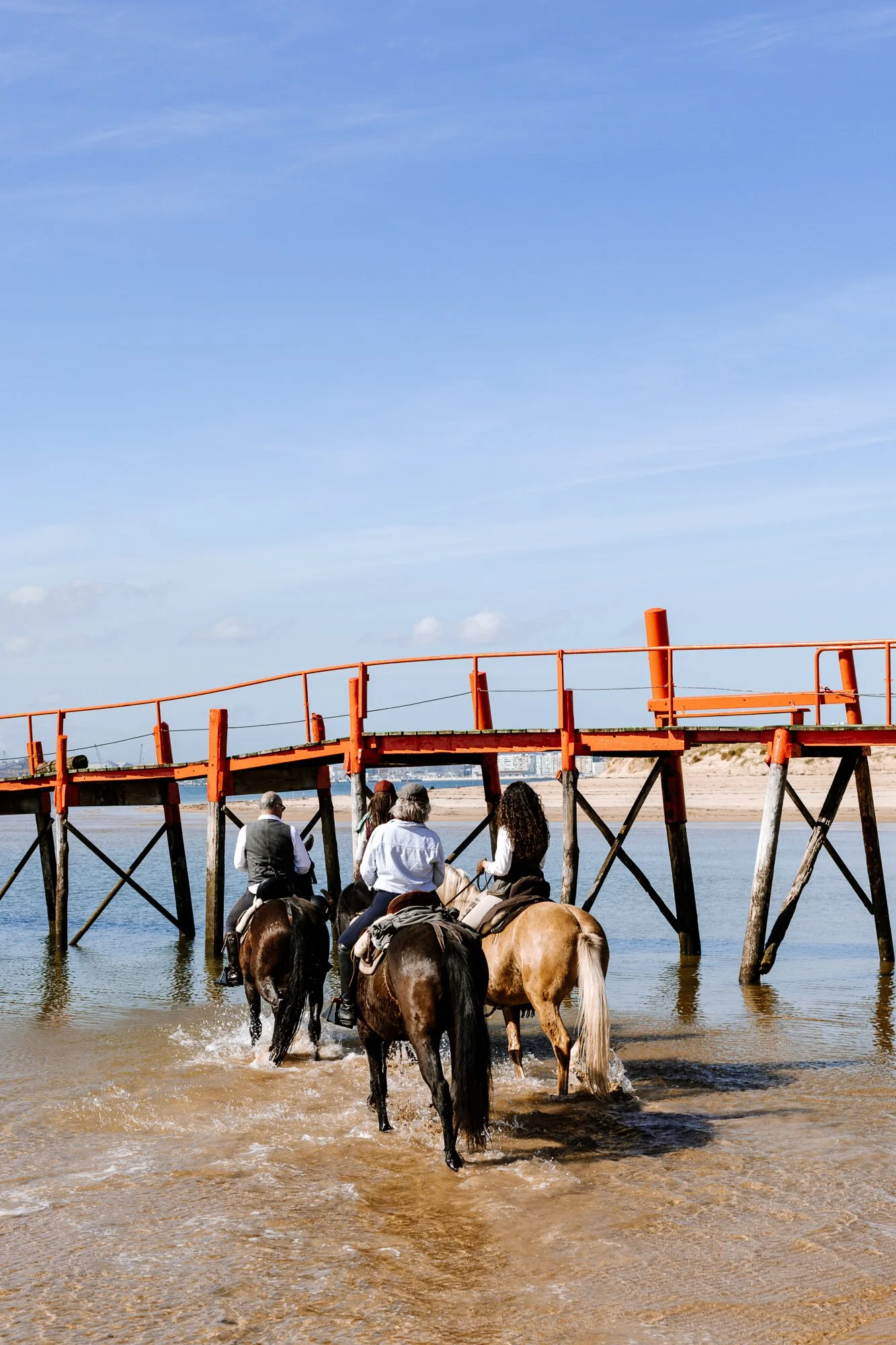 Cabollos De Castilla MR-172.jpg