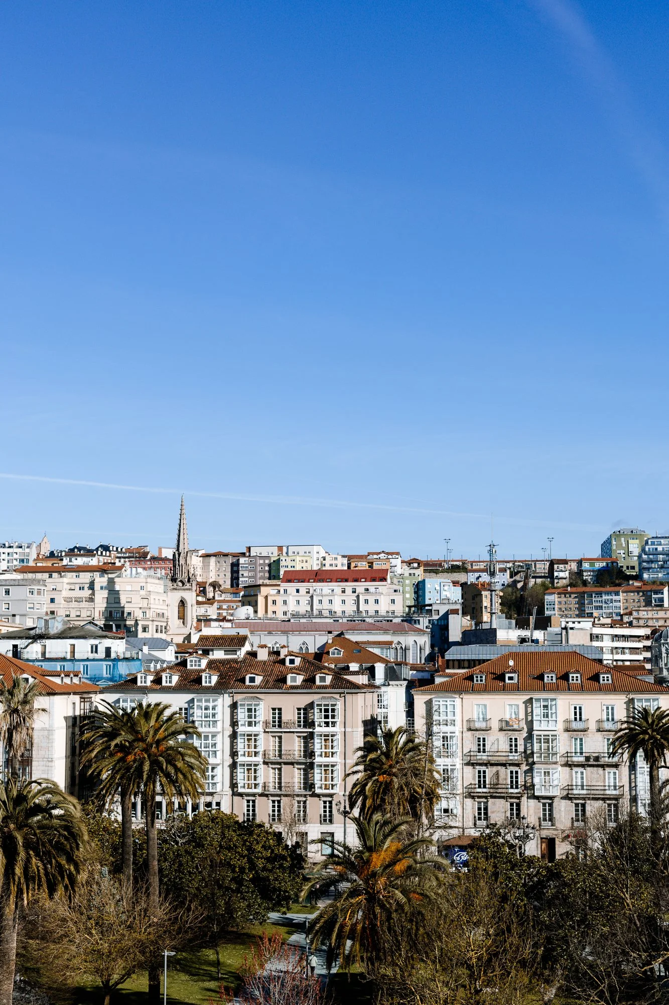 Cabollos De Castilla MR-129.jpg