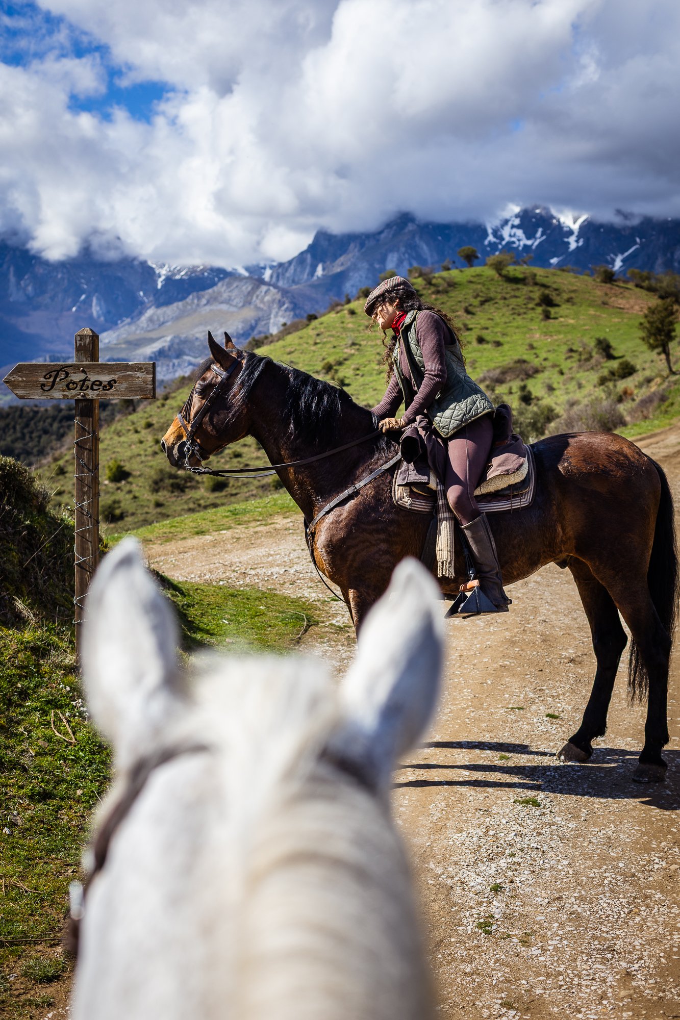 Cabollos De Castilla MR-092.jpg