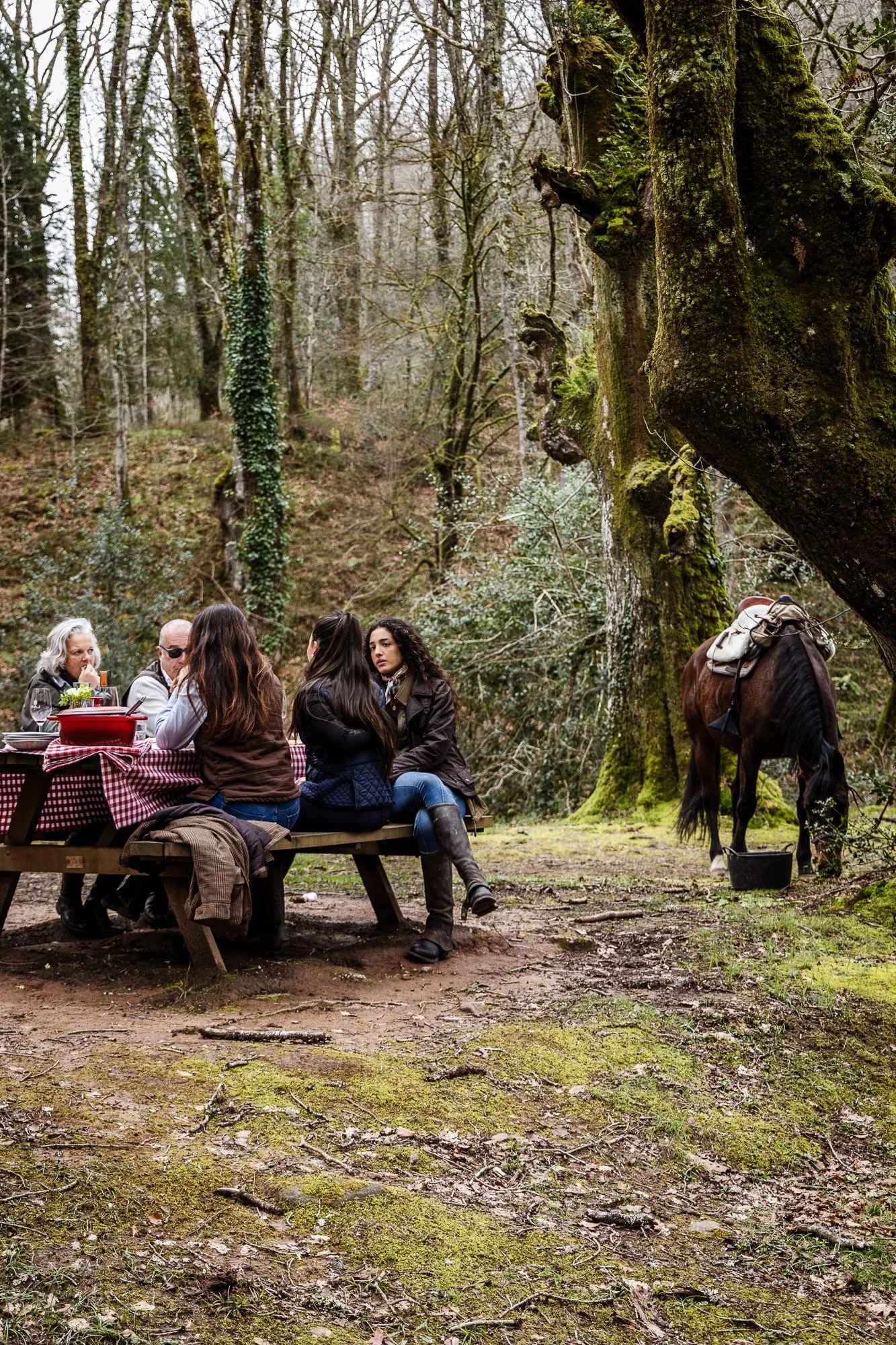 Cabollos De Castilla MR-059.jpg