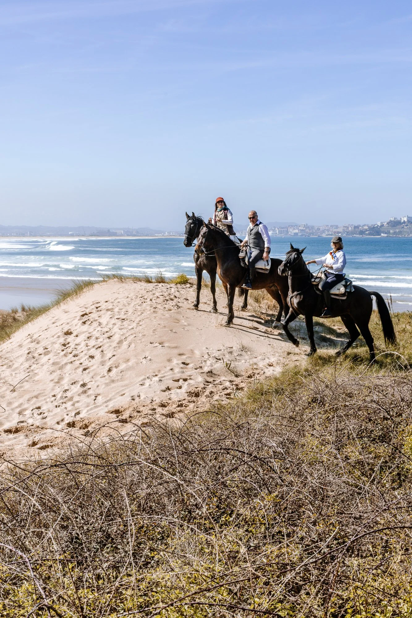 Cabollos De Castilla MR-212.jpg