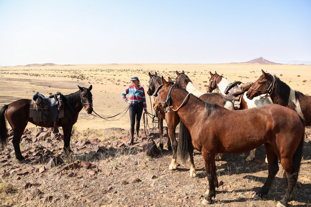 A woman in a striped shirt and blue cap standing in the desert, holding the reins of a group of horses with saddles, while the horses graze and look around in the open landscape.