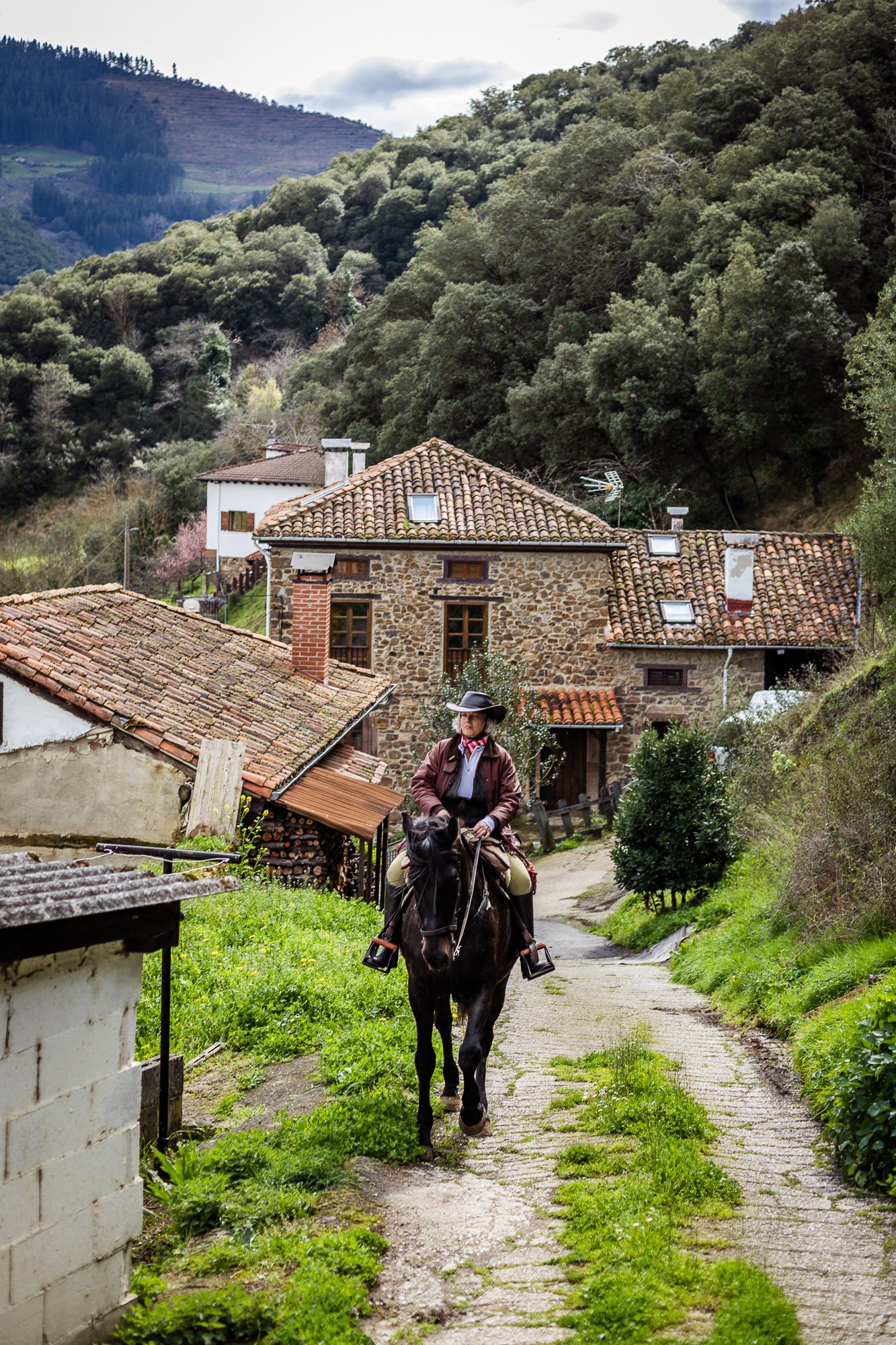 Cabollos De Castilla MR-078.jpg