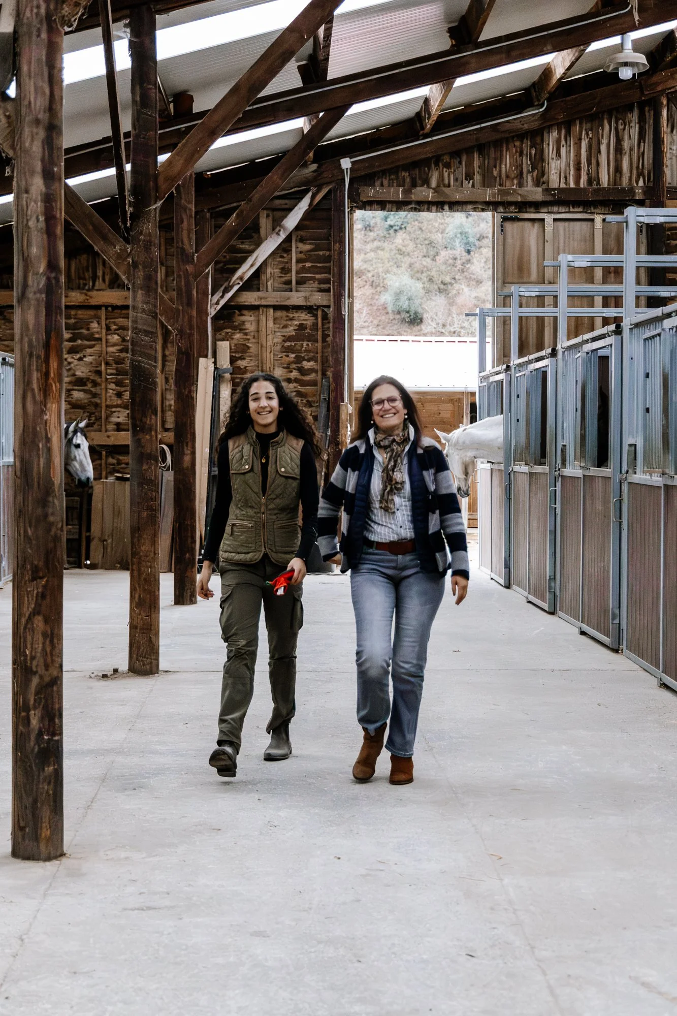 Cabollos De Castilla MR-002.jpg