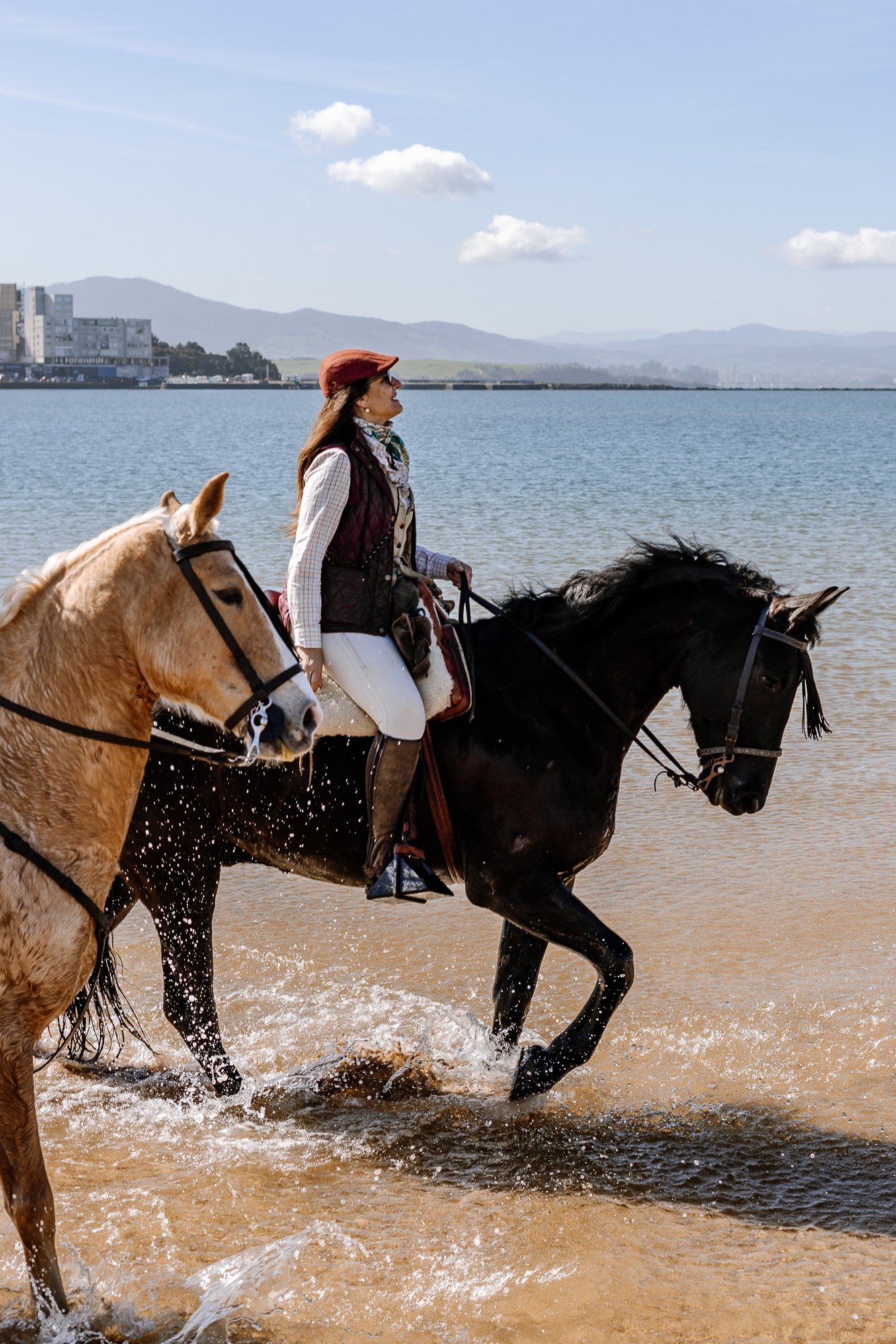 Cabollos De Castilla MR-164.jpg