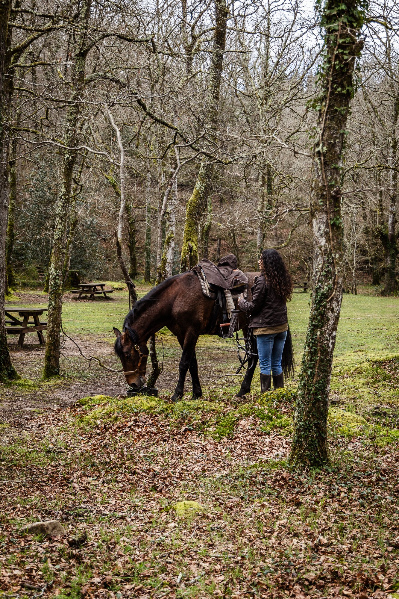 Cabollos De Castilla MR-048.jpg