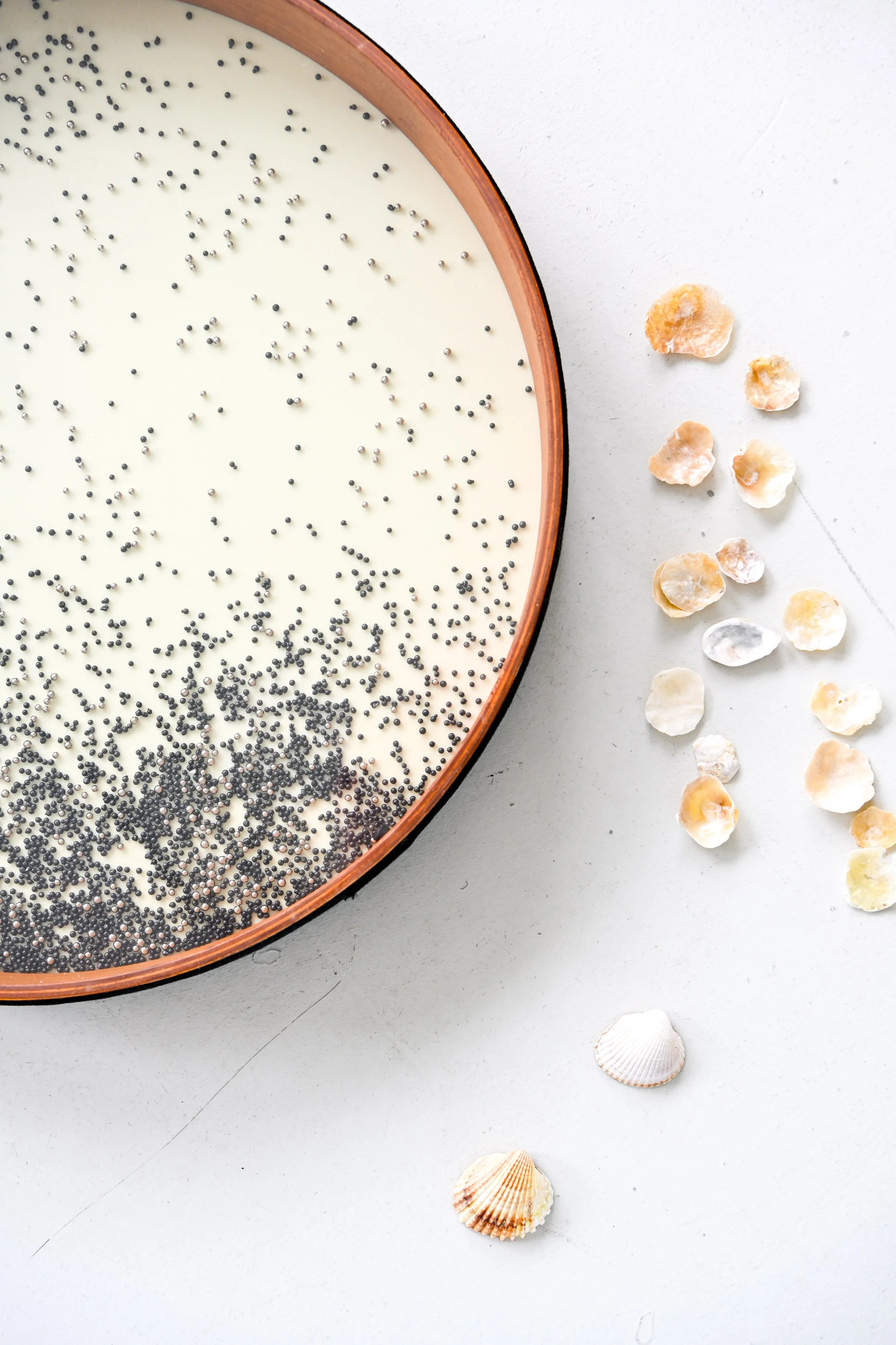 A ocean drum, placed on a white surface. Next to the drum, there are scattered seashells.