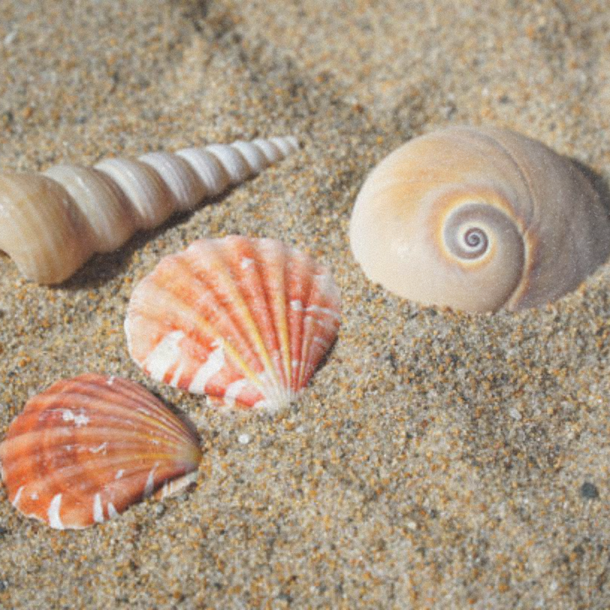 What the Ocean Teaches About Stillness