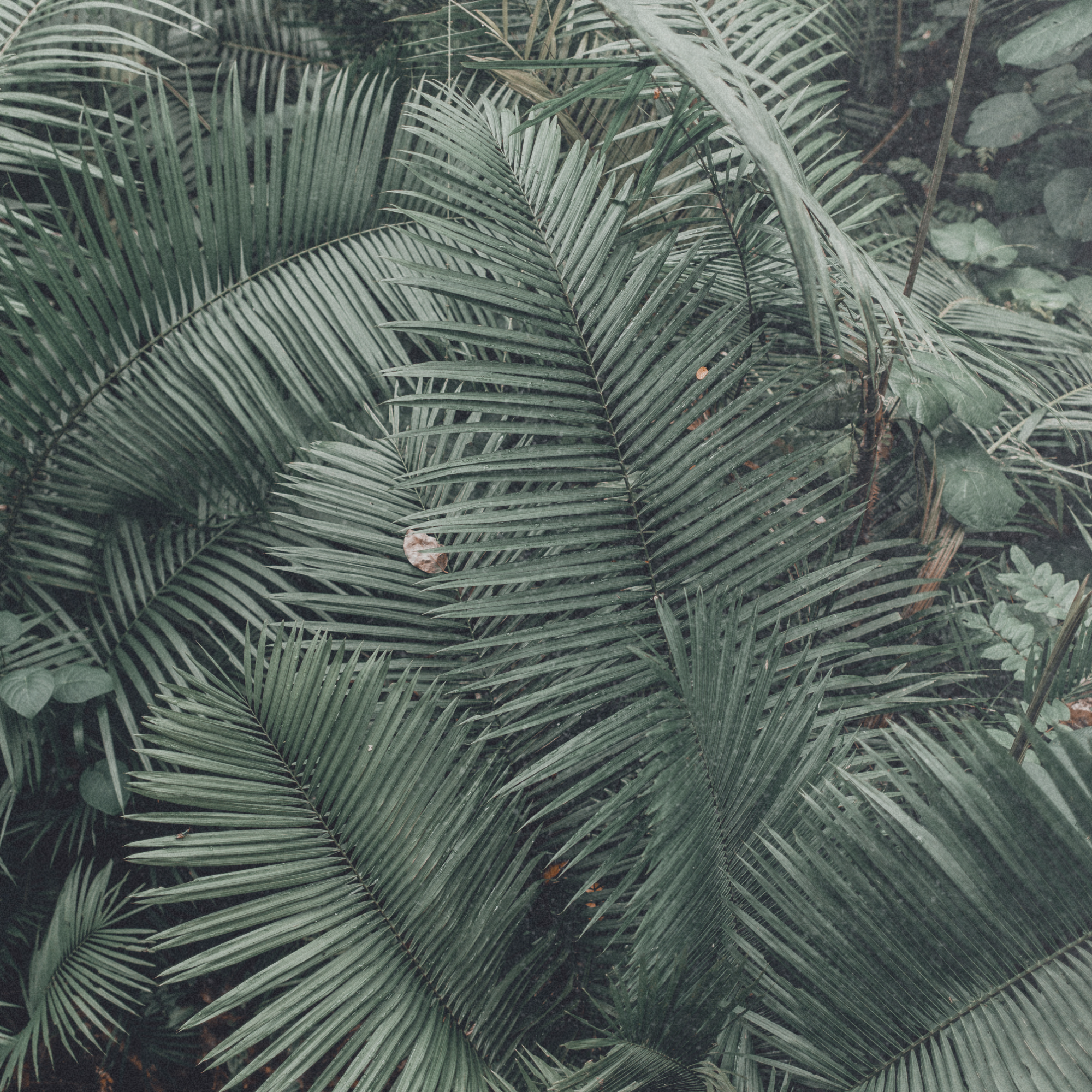 Journey With Us: The Costa Rica Retreat Preview