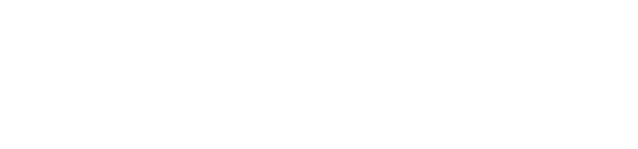 Text displaying 'S&DC Supply & Demand Chain Executive' in bold and capital letters.