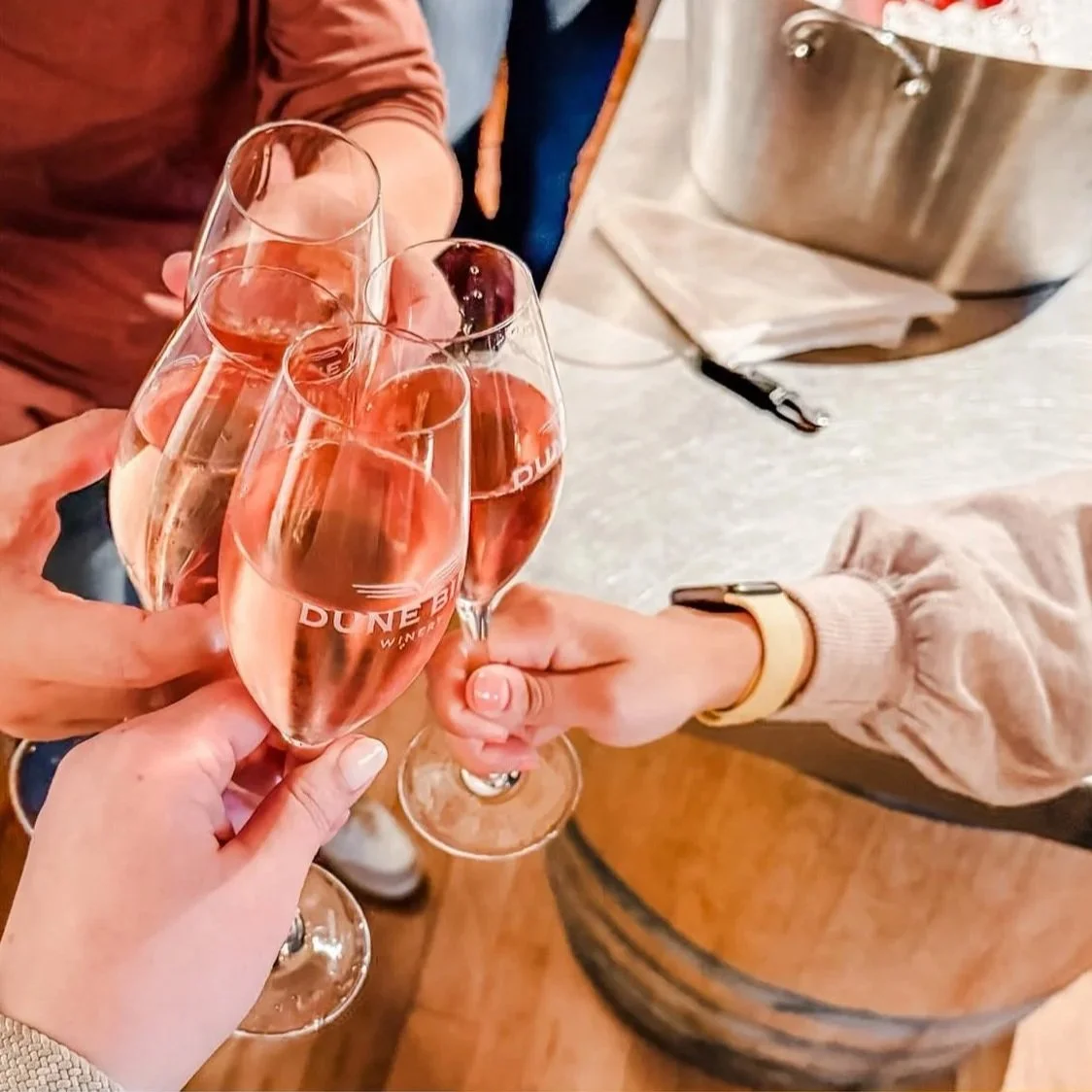 Raise a glass to Lake Michigan’s tiny shorebirds at Piping Plover conservation fundraiser