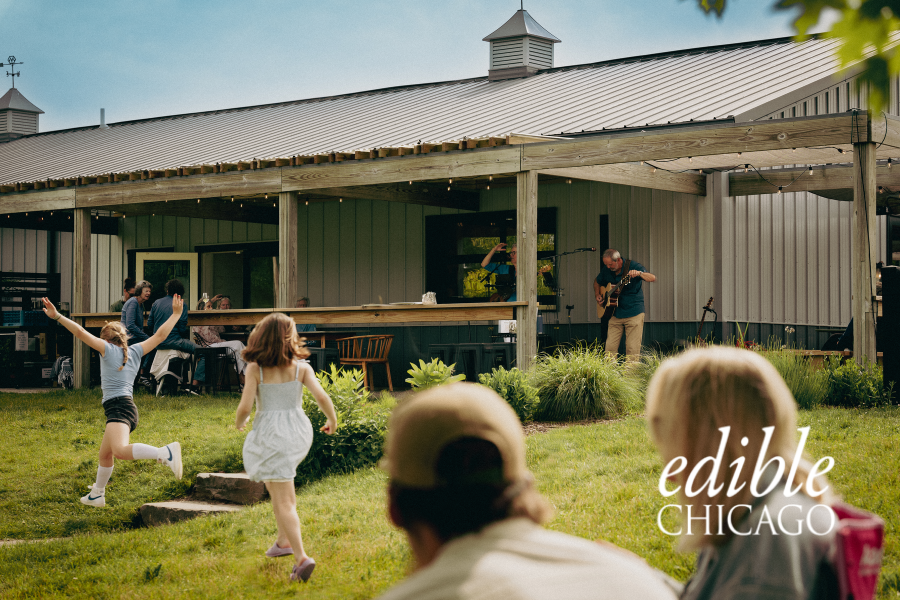 Orchards, Wineries, and Quiet Shorelines in Michigan’s Leelanau County