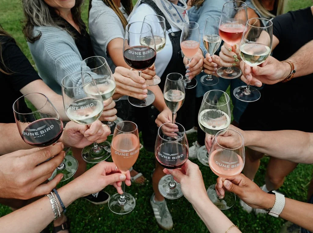 Group of people holding wine glasses with red, white, and rosé wine during a toast outdoors.