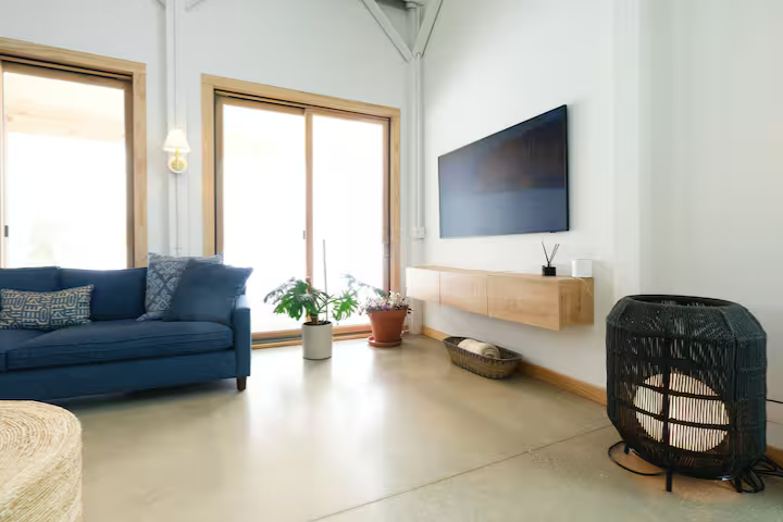 Living room with a blue couch, potted plants near sliding glass doors, wall-mounted TV, and modern decor.