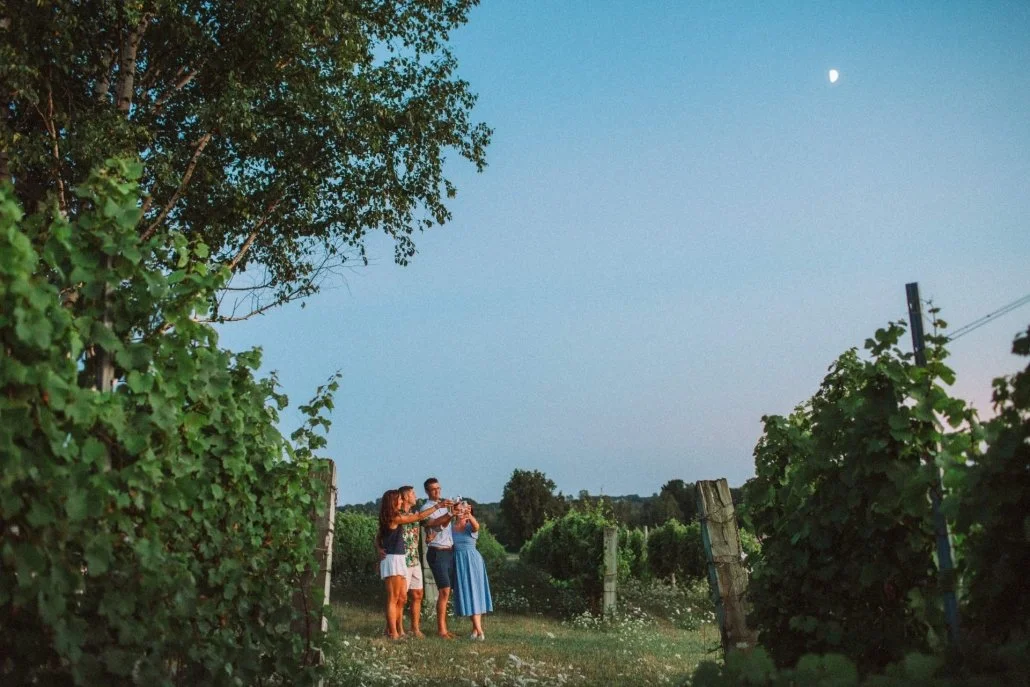 A group of four friends taking selfies in a vineyard at dusk with a visible moon in the sky.