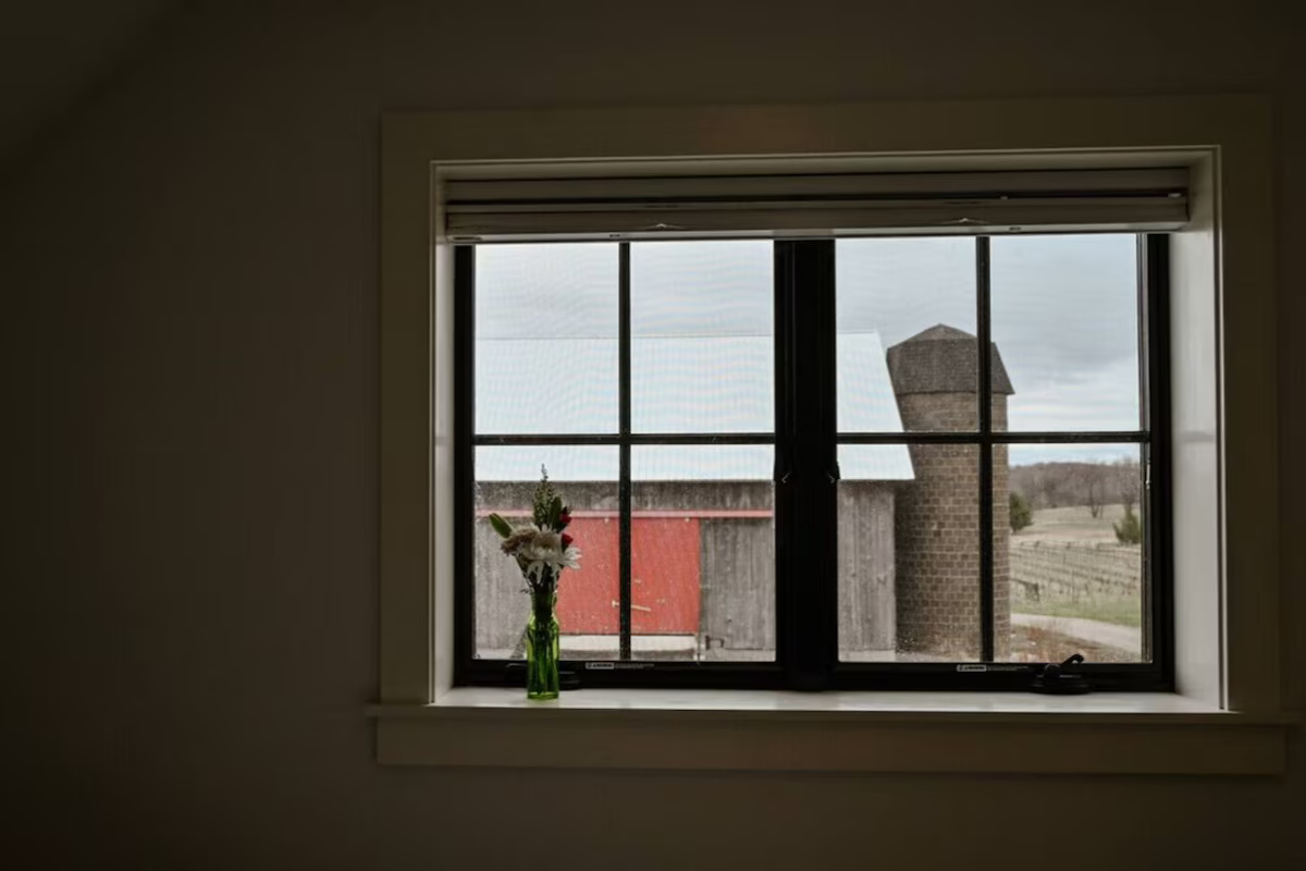 View through a black-framed window showing an outdoor scene with a wooden barn and silo, and a green vase with flowers on the windowsill.