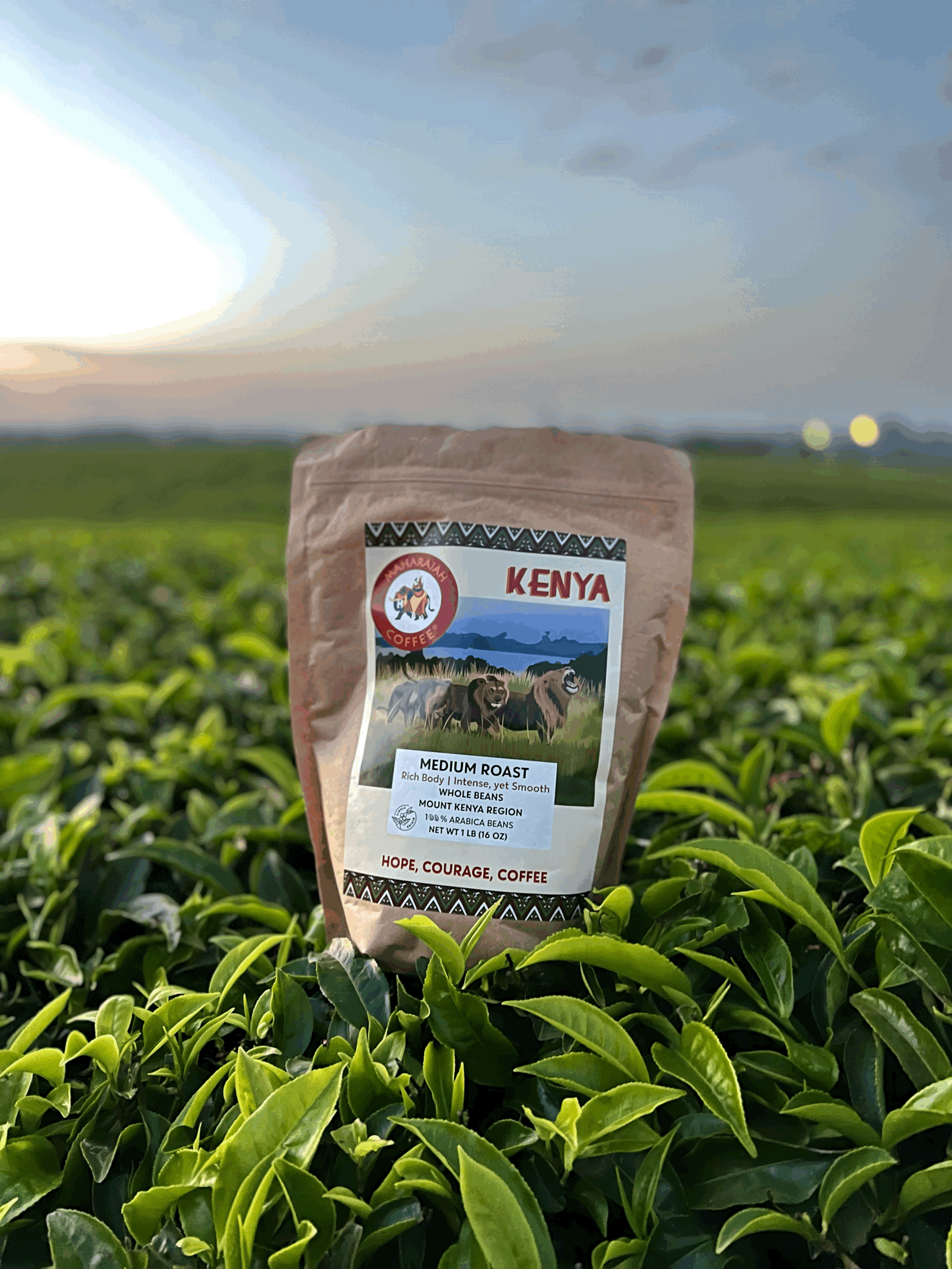 Kenya  Single Origin 1 Pound