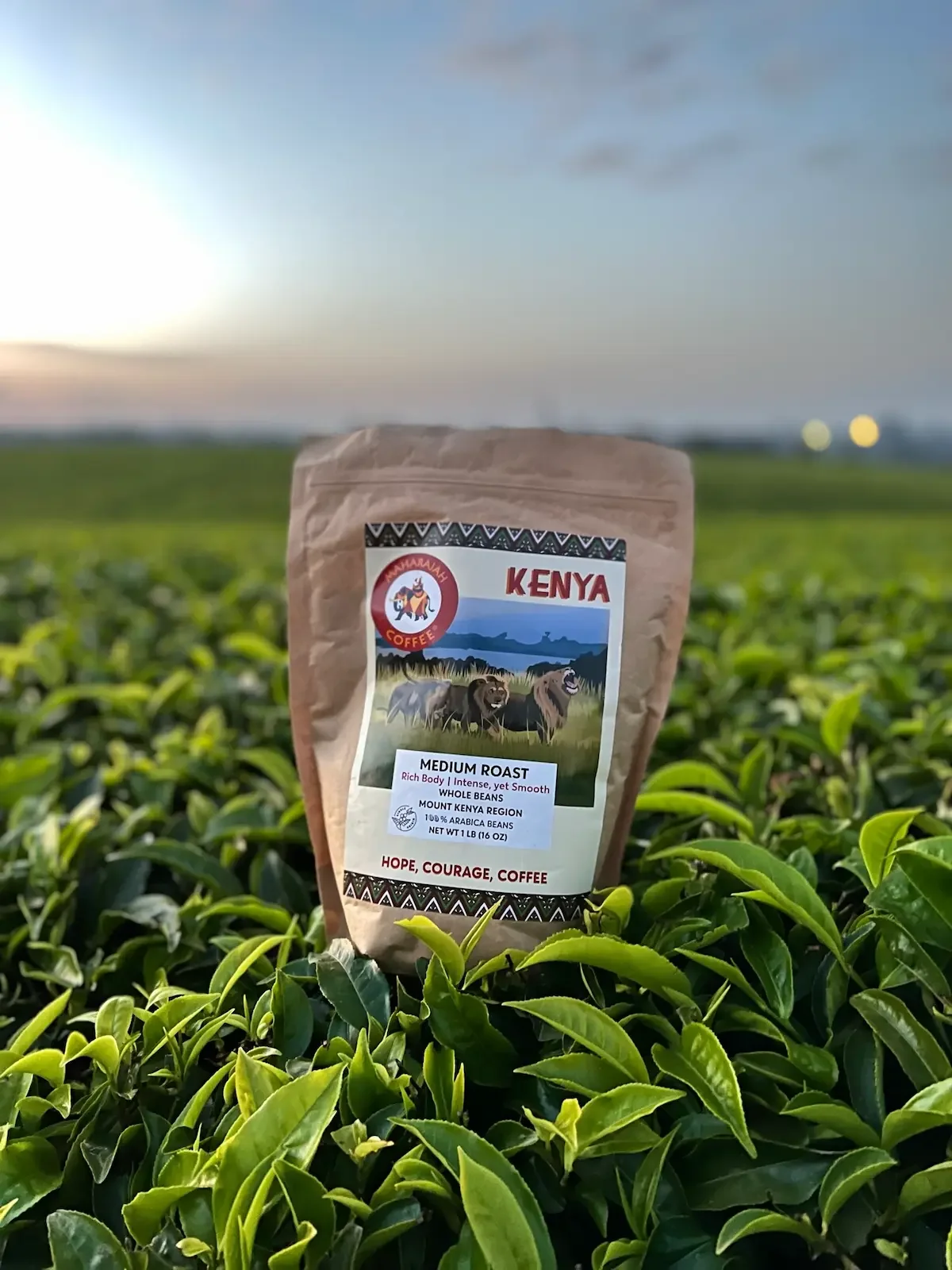 Kenya  Single Origin 1 Pound