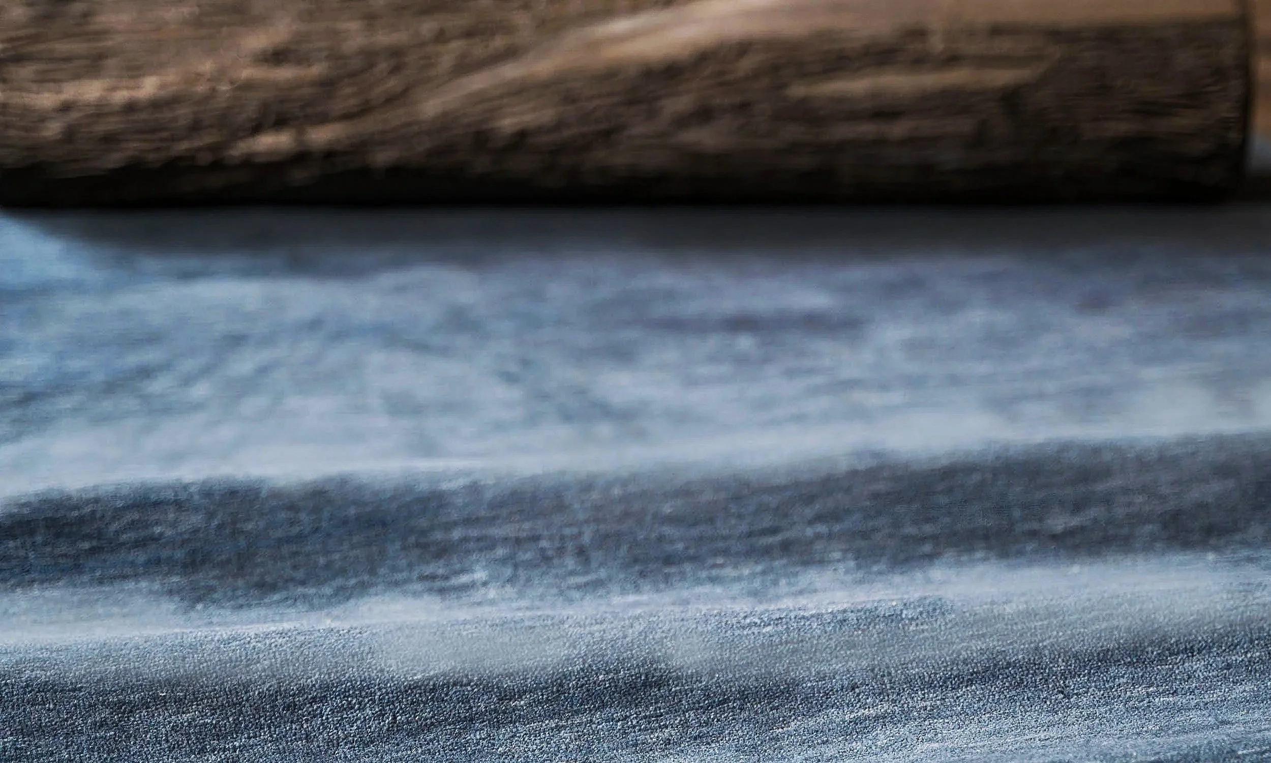 dettaglio tronco e tappeto.jpg