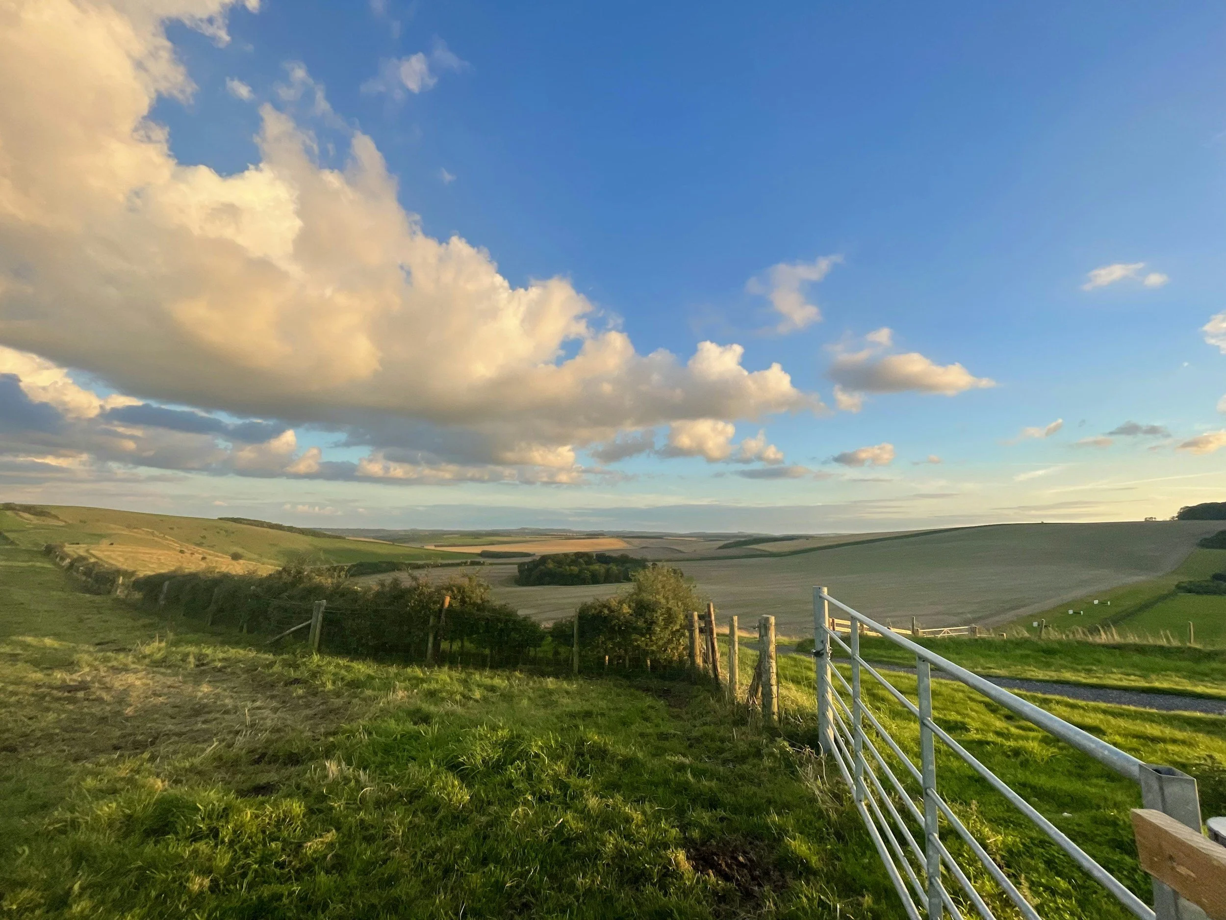 Scenic view of a rural landscape with rolling hills, green fields, trees, and a partly cloudy sky during sunset or sunrise.