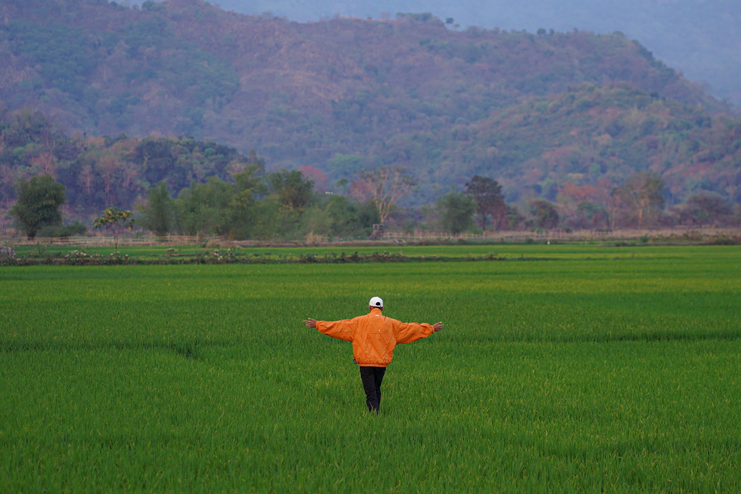 A person with arms outstretched in a green field facing away, with hills in the background.