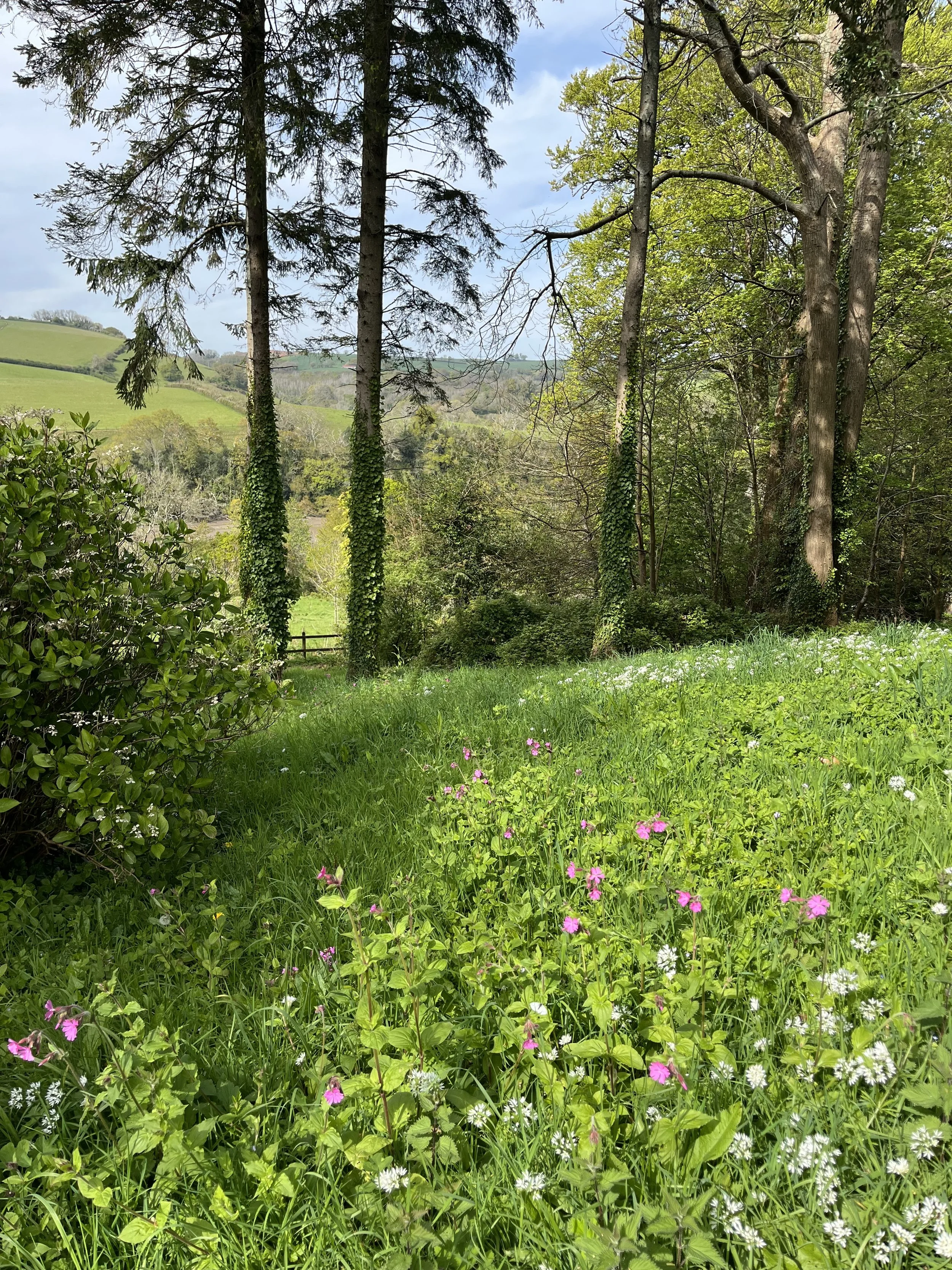 A lush green outdoor scene with tall trees, rolling hills in the background, and various small flowering plants in the foreground.
