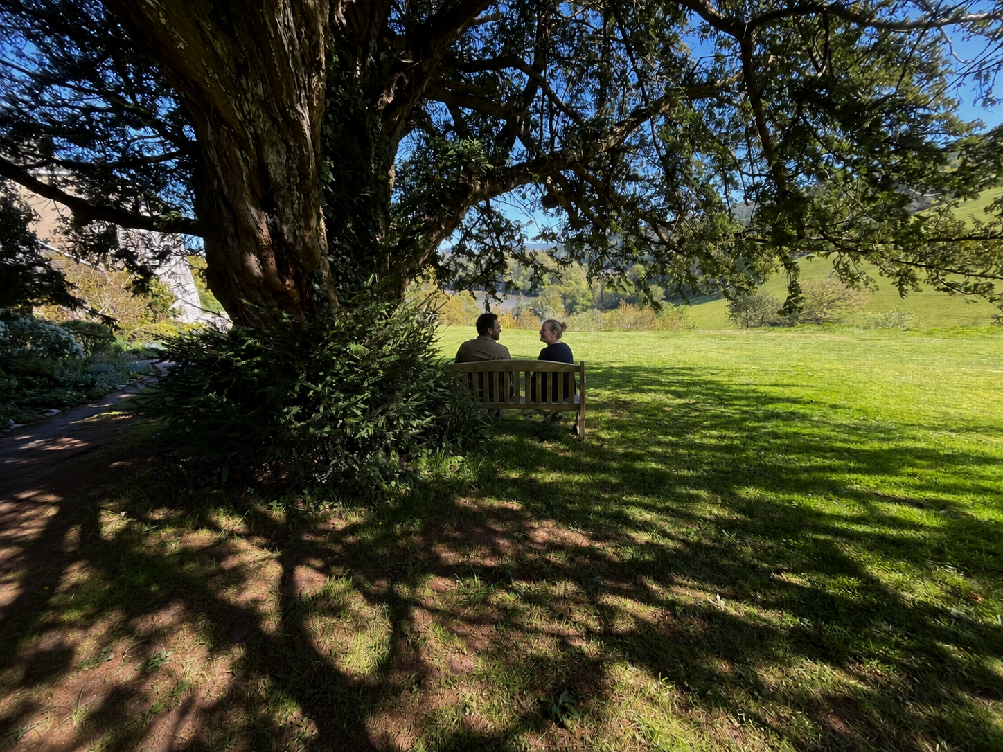 A man and woman sitting on a wooden park bench under a large tree with green leaves, facing each other, in a lush green park with a grassy field and distant trees on a sunny day.