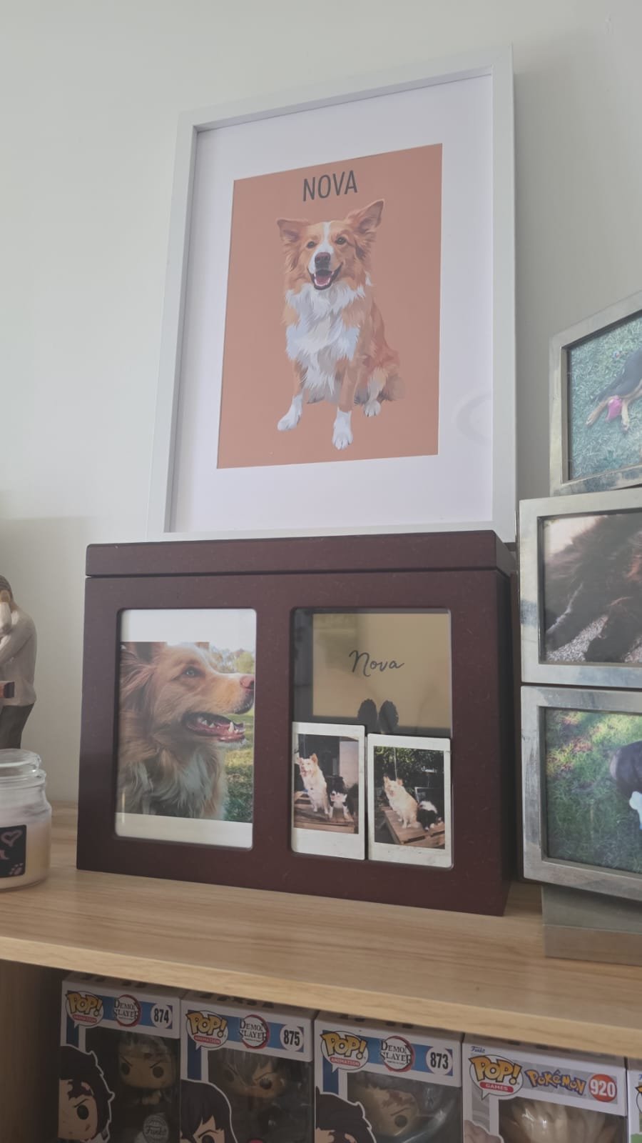 Display of a framed illustration of a dog named Nova, along with photographs and memorabilia of the same dog, on a wooden shelf.