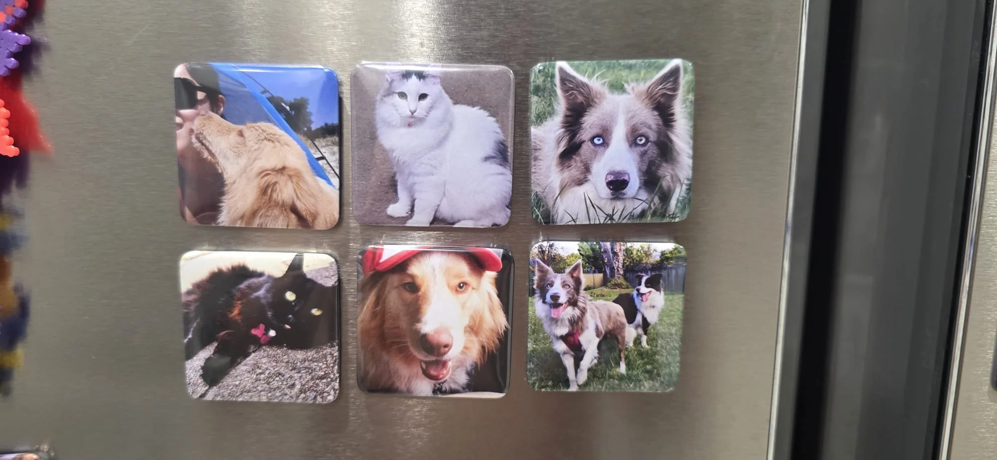 Photo Magnets (set of 6)