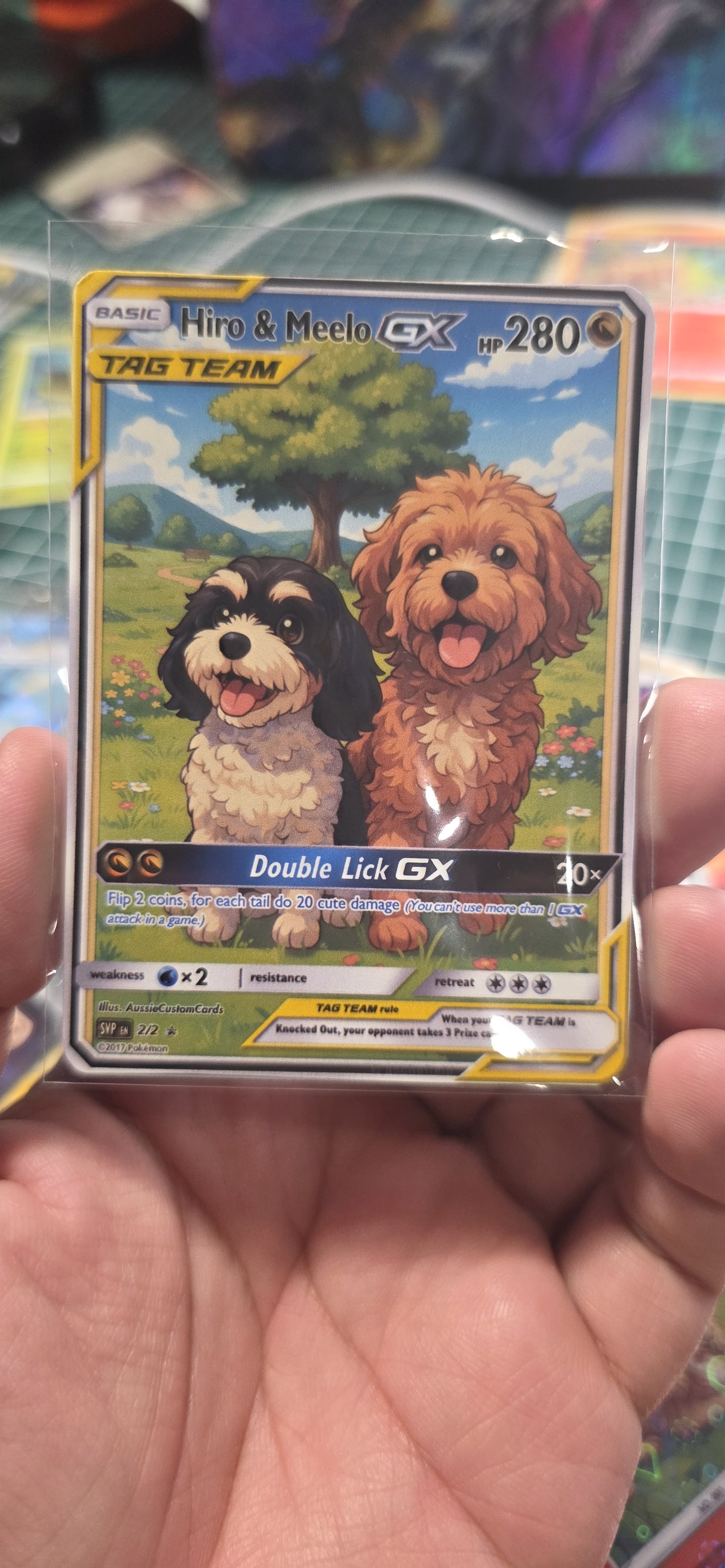 Pokemon Custom pets example Australia
