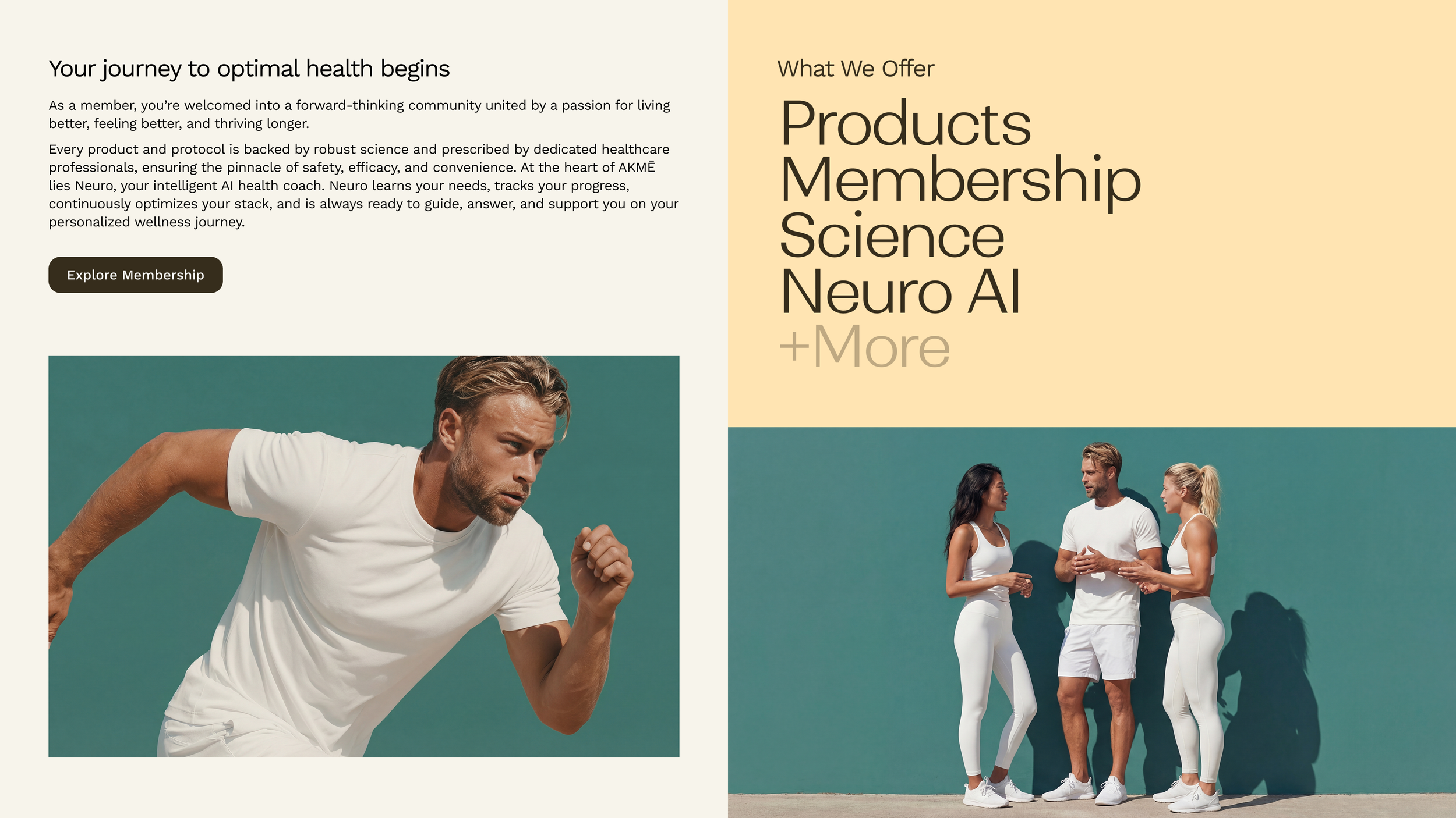 Content x Images test.png