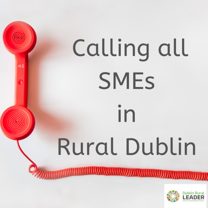 Calling all SMEs in Rural Dublin