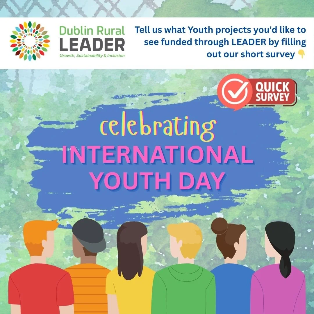 Help Shape Youth Projects in Rural Dublin