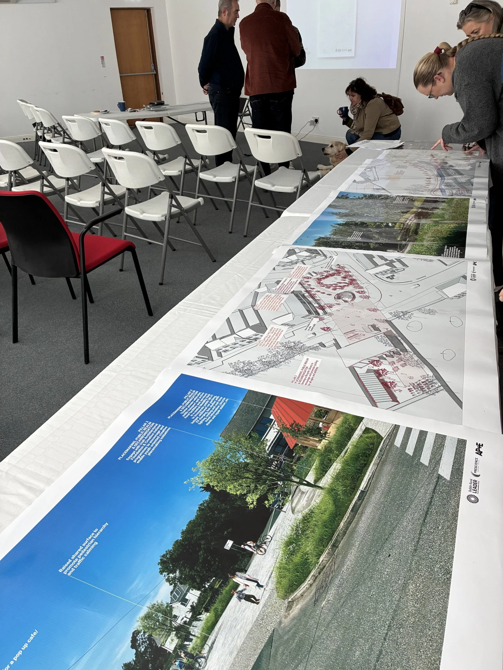 Ballyboughal Smart Village Action Plan Launch