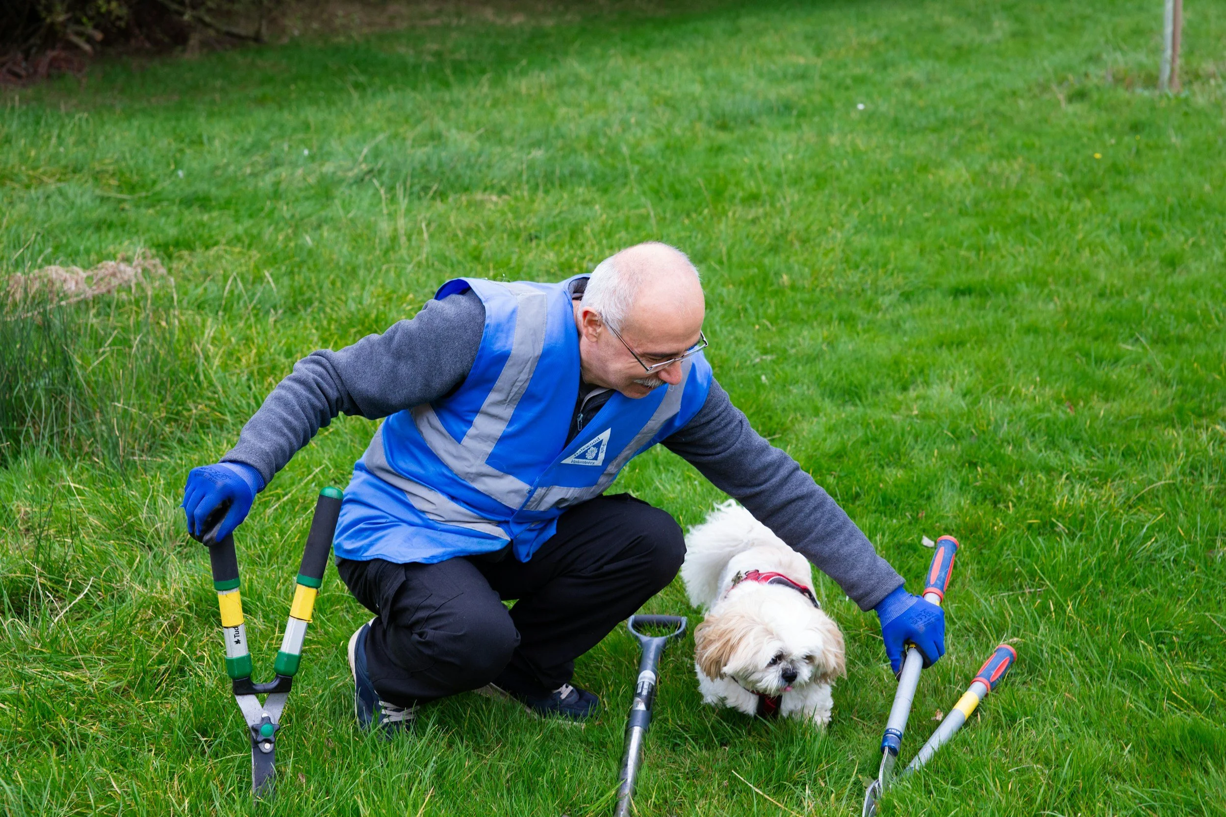 An older man with glasses kneeling on green grass, helping a small white dog with a red collar, using multicolored crutches, outdoors.
