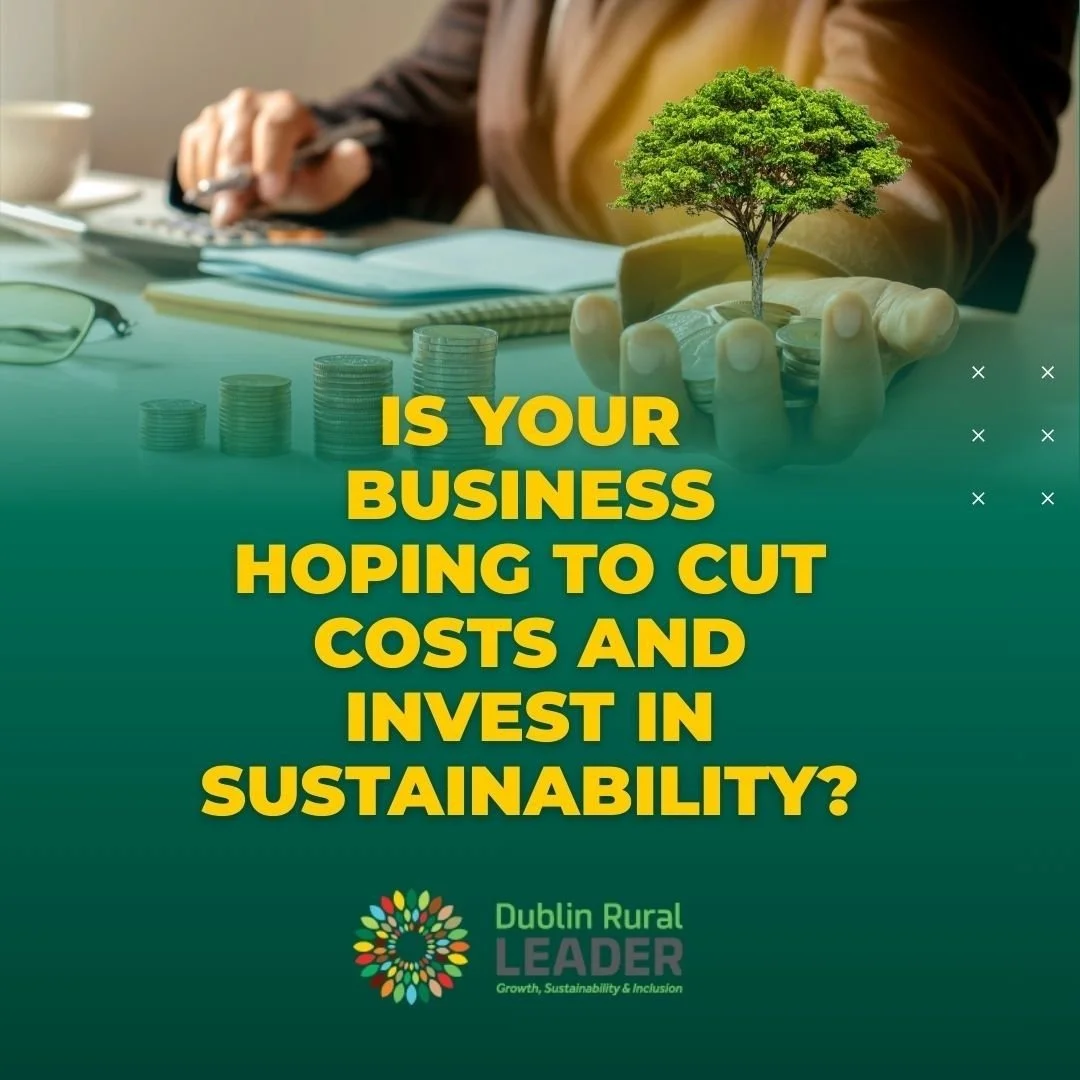 Green Economy Funding Opportunity for Rural Dublin Businesses